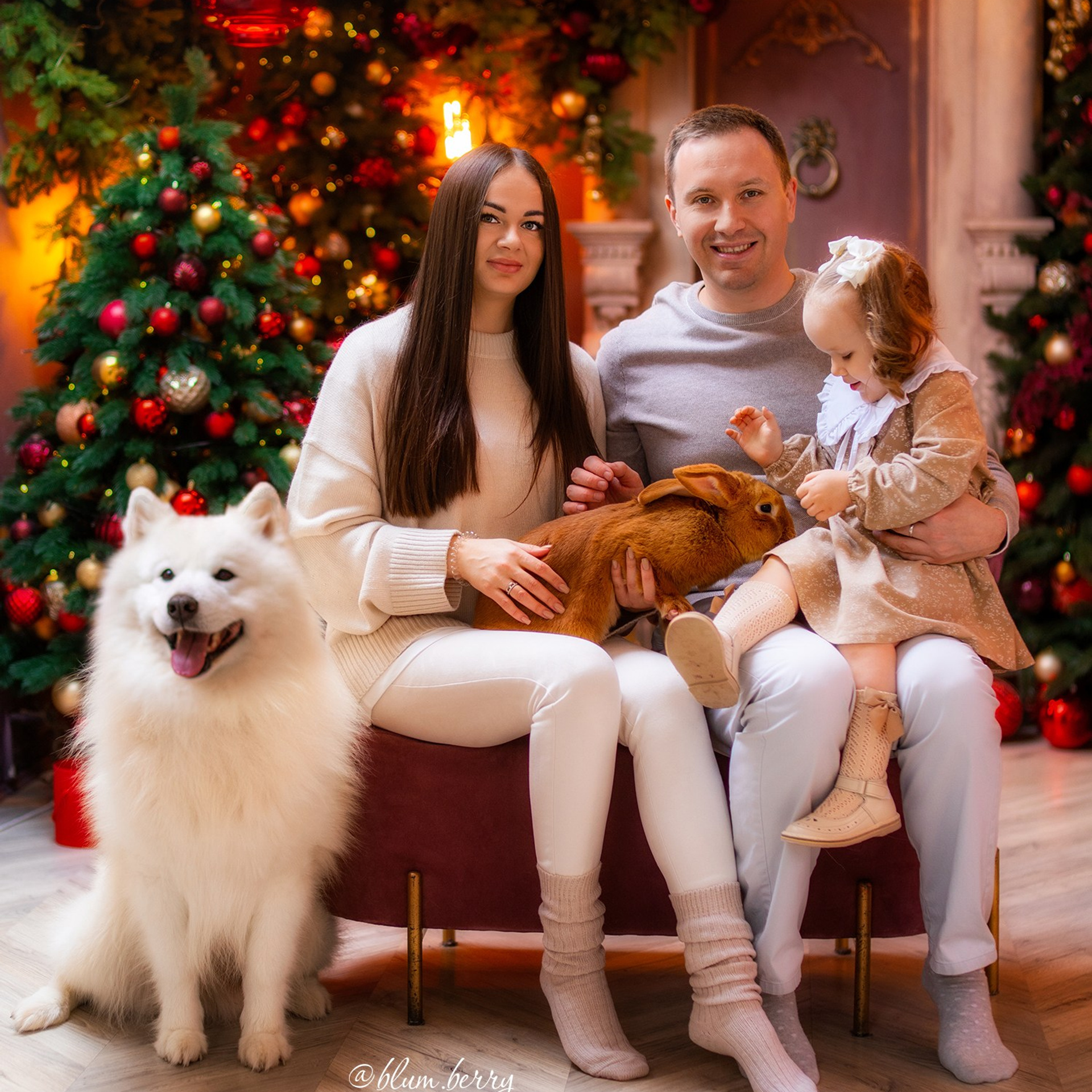 Новогодняя с самоедом и кроликом. Детский и семейный фотограф в Краснодаре Анастасия Blumberry