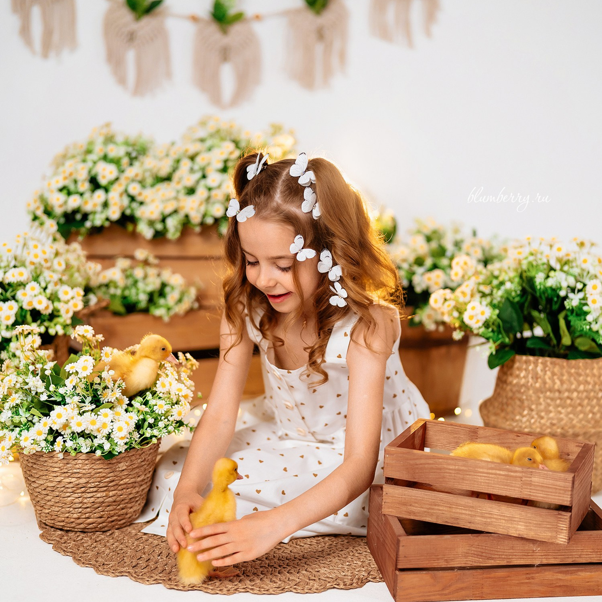 Ромашки с утятами. Детский и семейный фотограф в Краснодаре Анастасия Blumberry