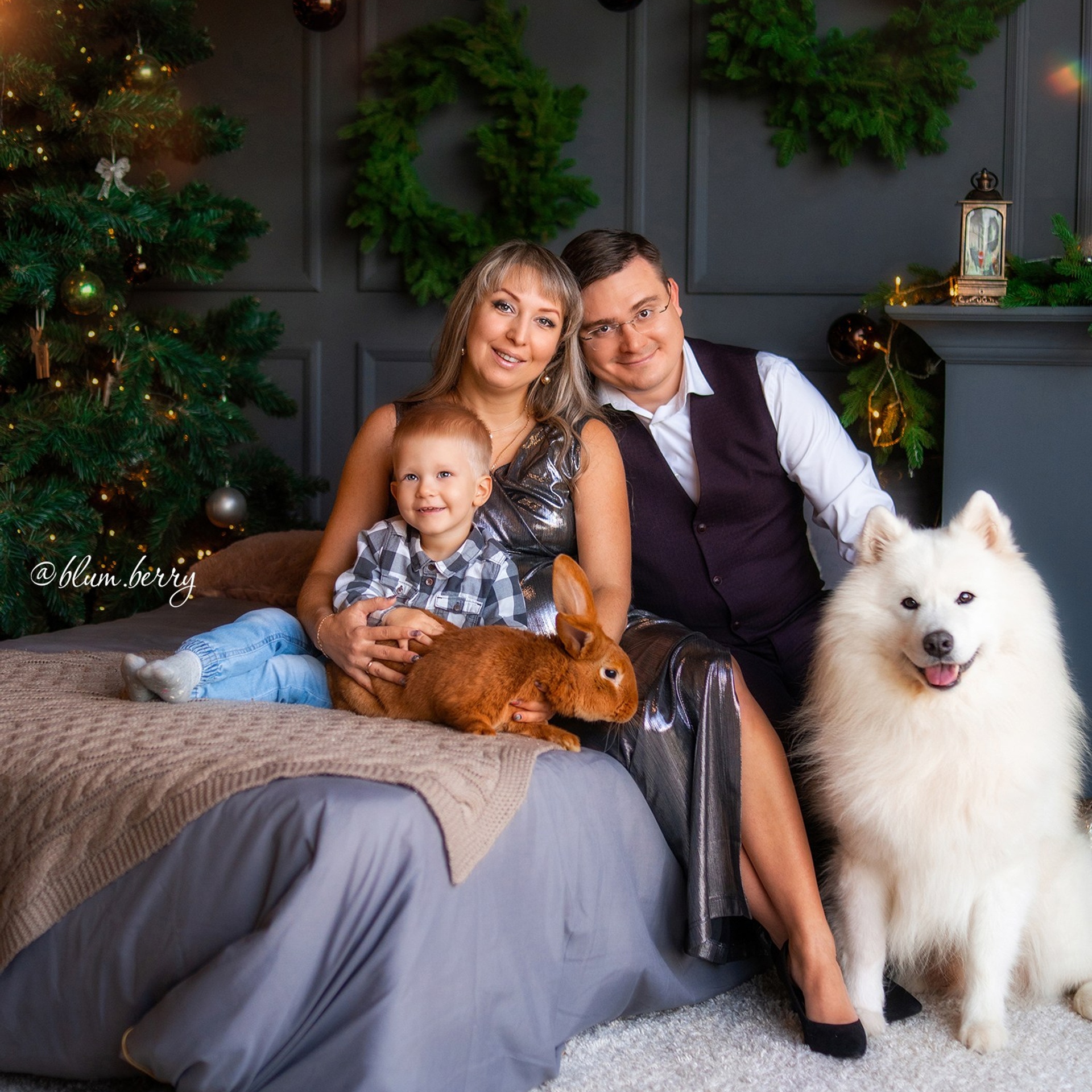 Новогодняя с самоедом и кроликом. Детский и семейный фотограф в Краснодаре Анастасия Blumberry