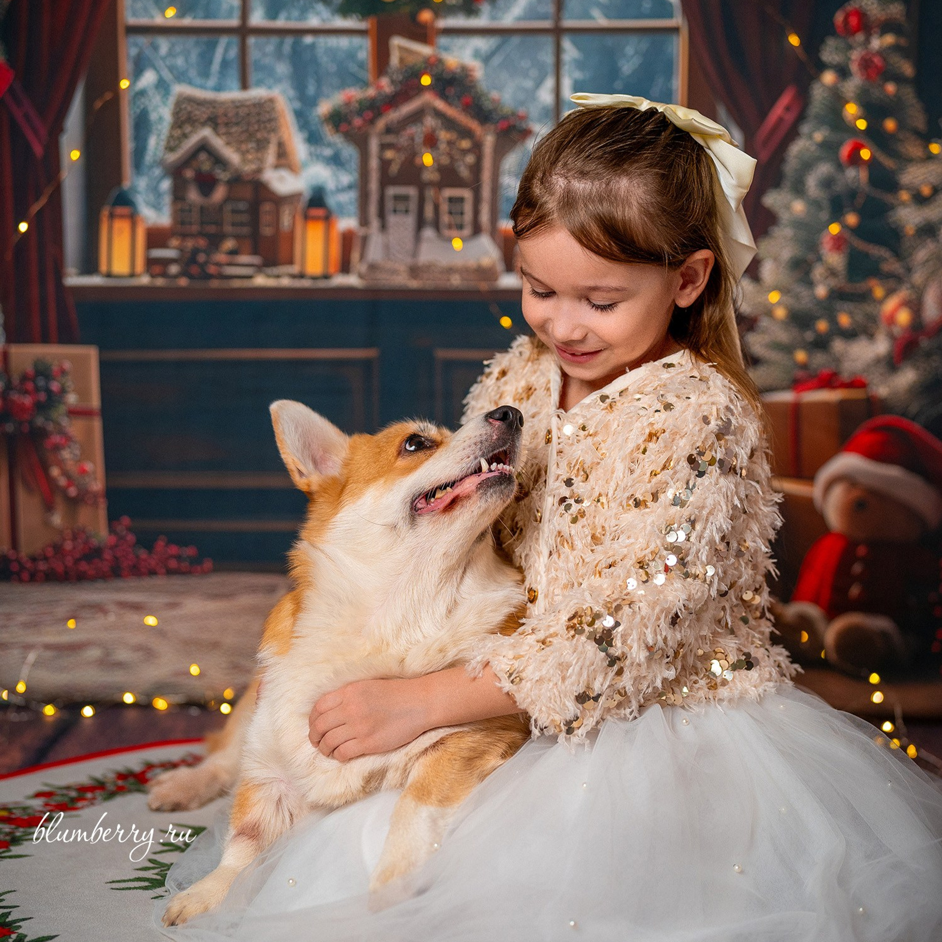 Новогодняя комната с корги. Детский и семейный фотограф в Краснодаре Анастасия Blumberry