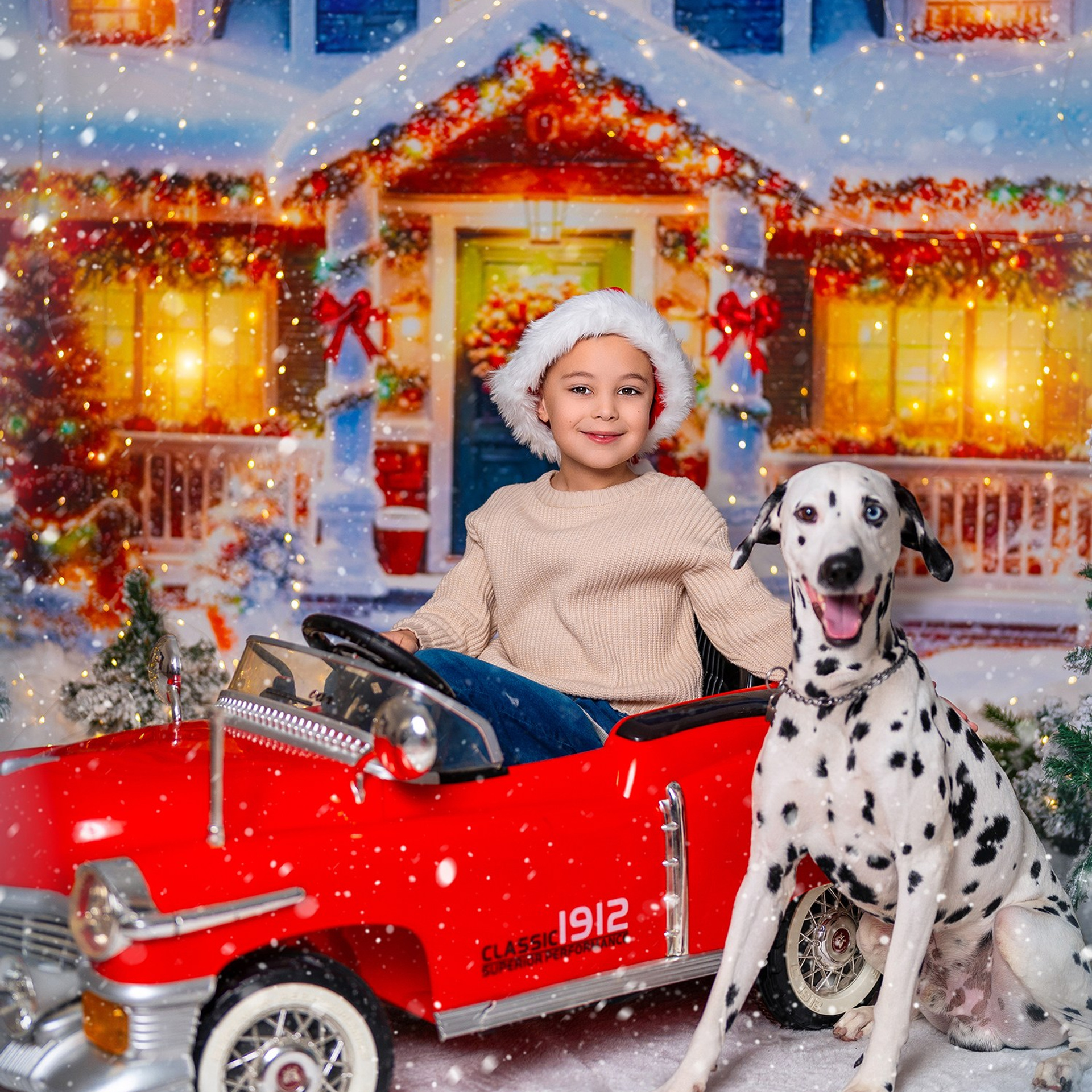 Далматин. Детский и семейный фотограф в Краснодаре Анастасия Blumberry