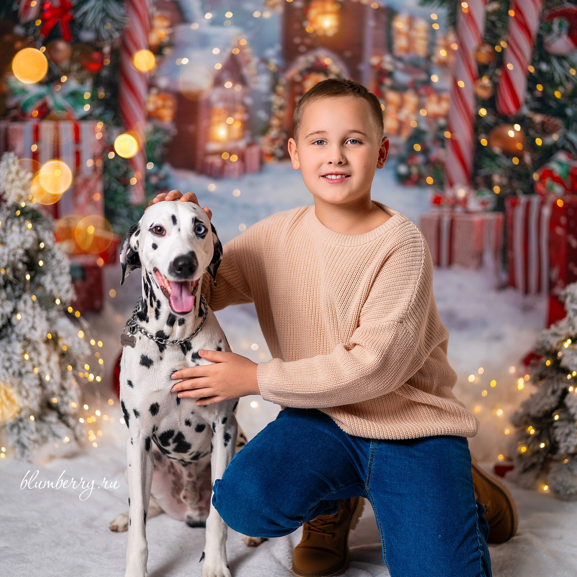 Далматин. Детский и семейный фотограф в Краснодаре Анастасия Blumberry