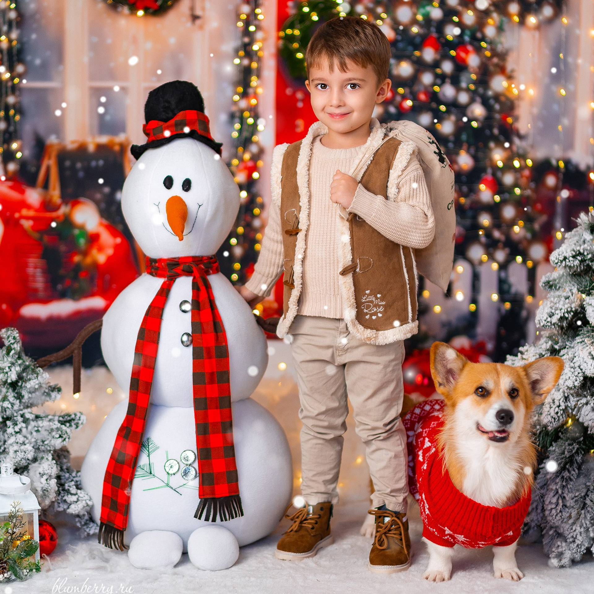 Новогодняя с корги. Детский и семейный фотограф в Краснодаре Анастасия Blumberry