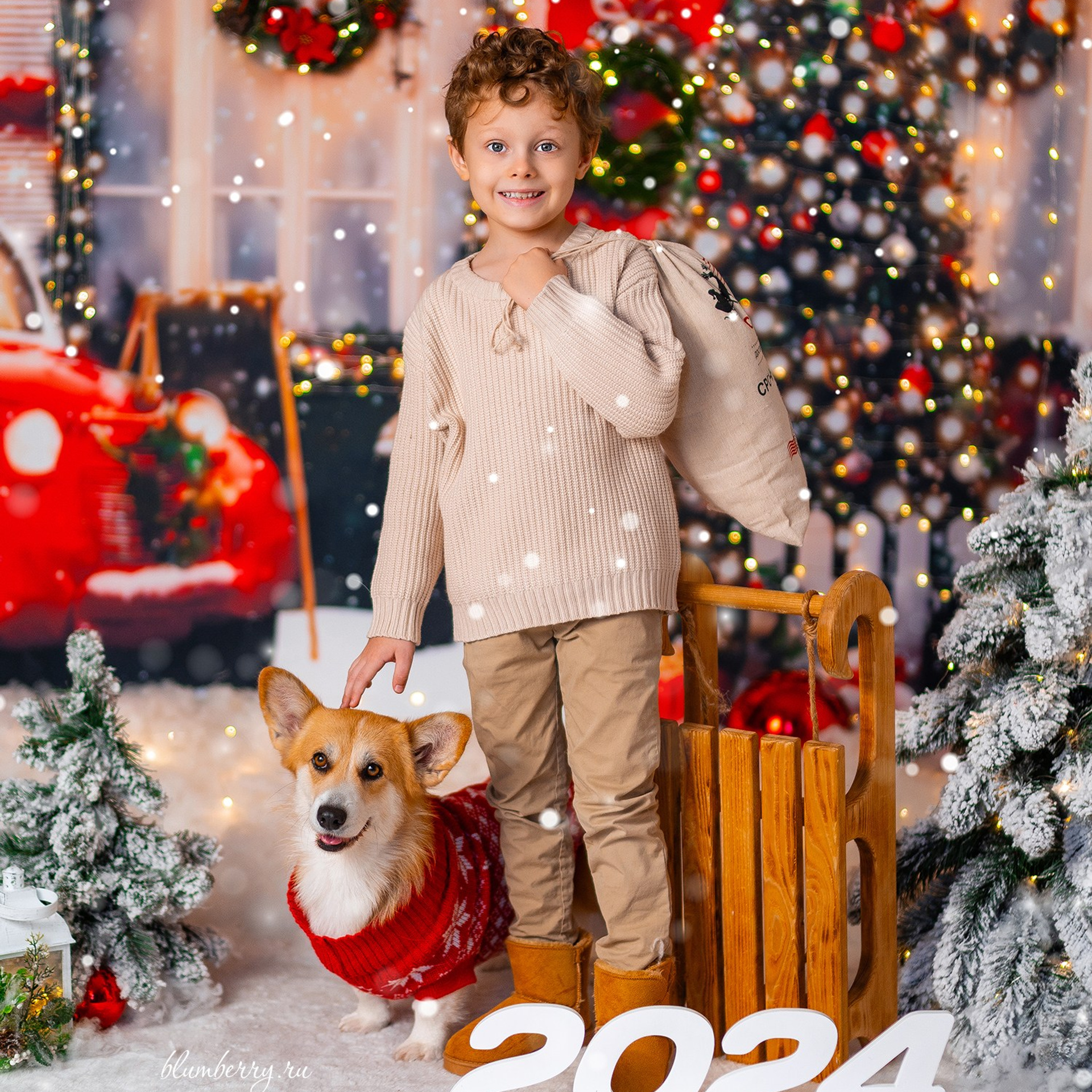 Новогодняя с корги. Детский и семейный фотограф в Краснодаре Анастасия Blumberry