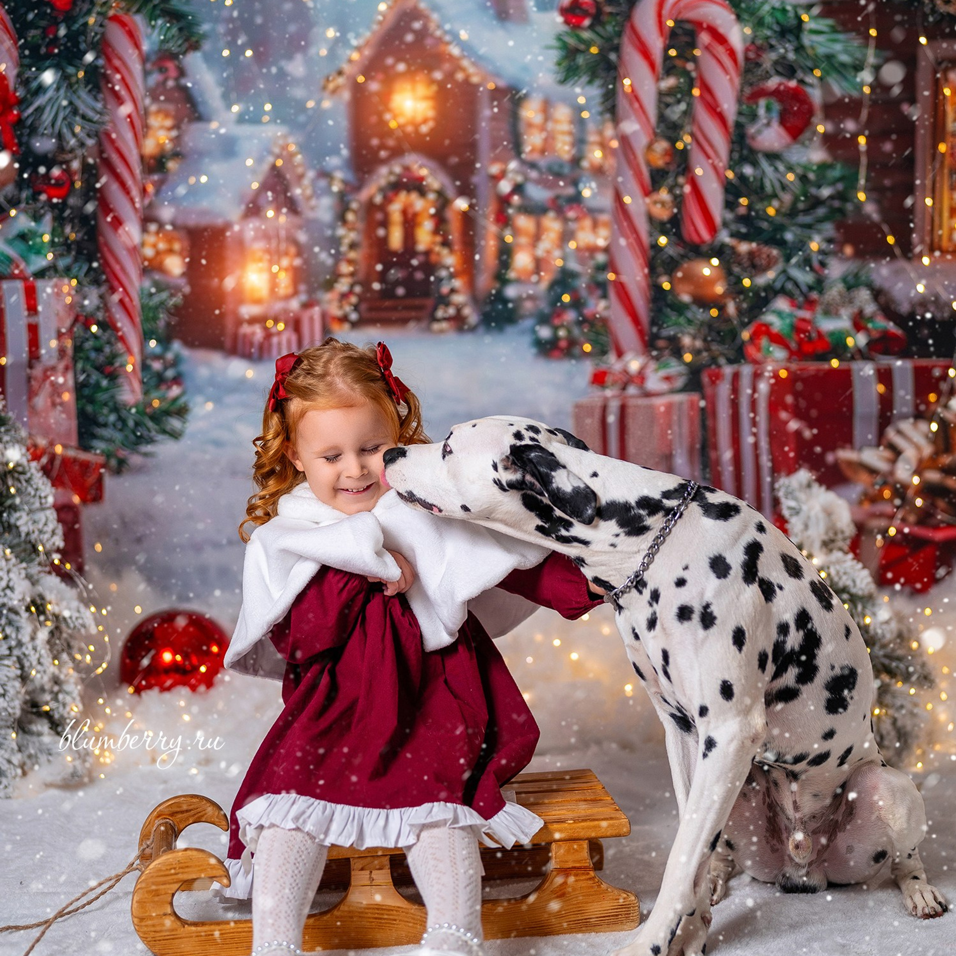 Далматин. Детский и семейный фотограф в Краснодаре Анастасия Blumberry