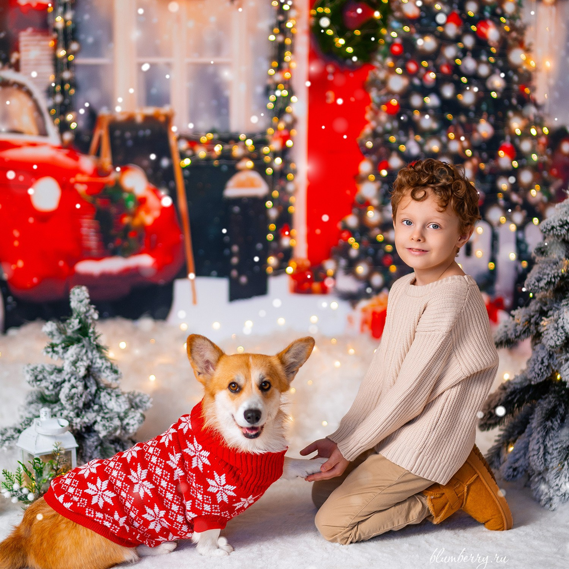 Новогодняя с корги. Детский и семейный фотограф в Краснодаре Анастасия Blumberry