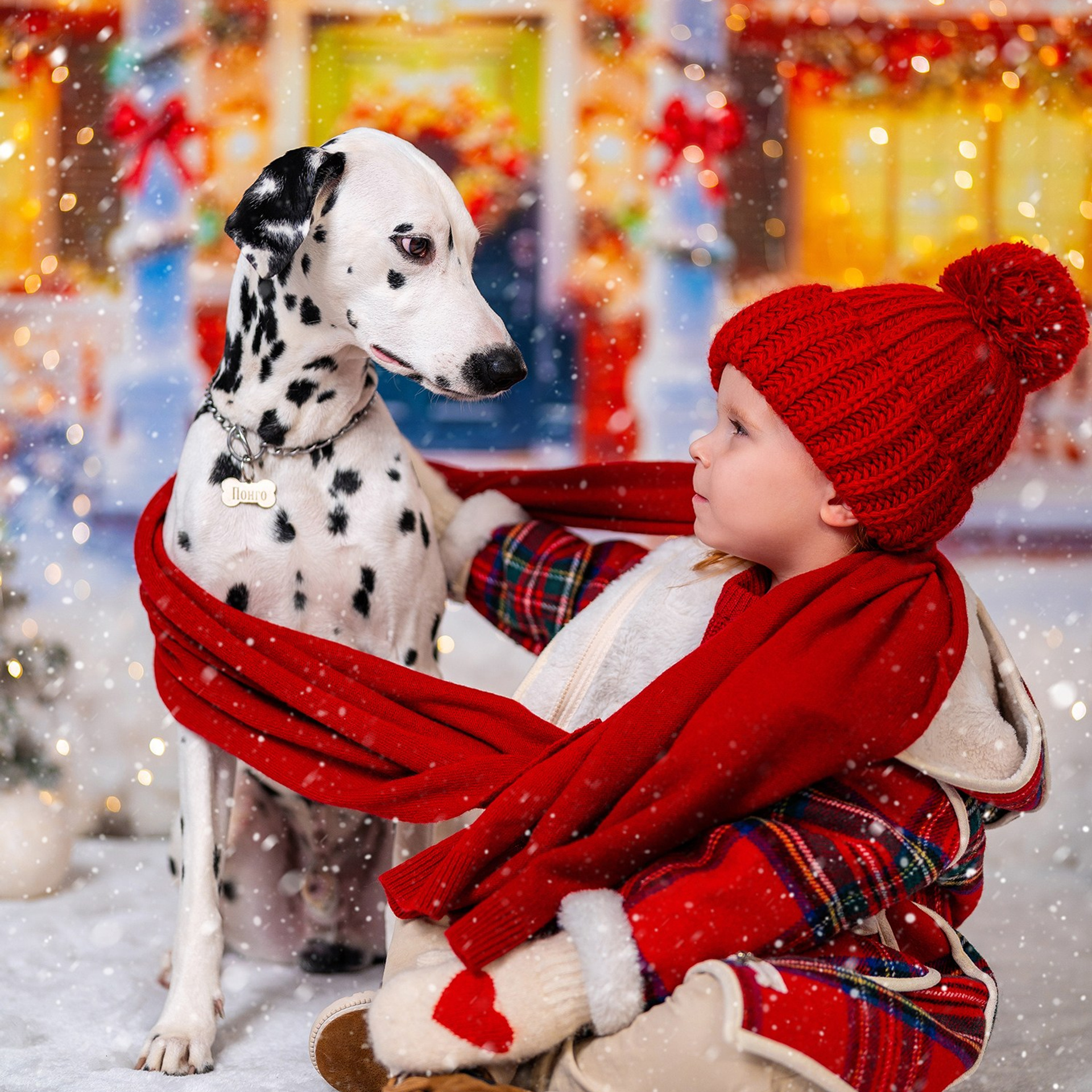Далматин. Детский и семейный фотограф в Краснодаре Анастасия Blumberry