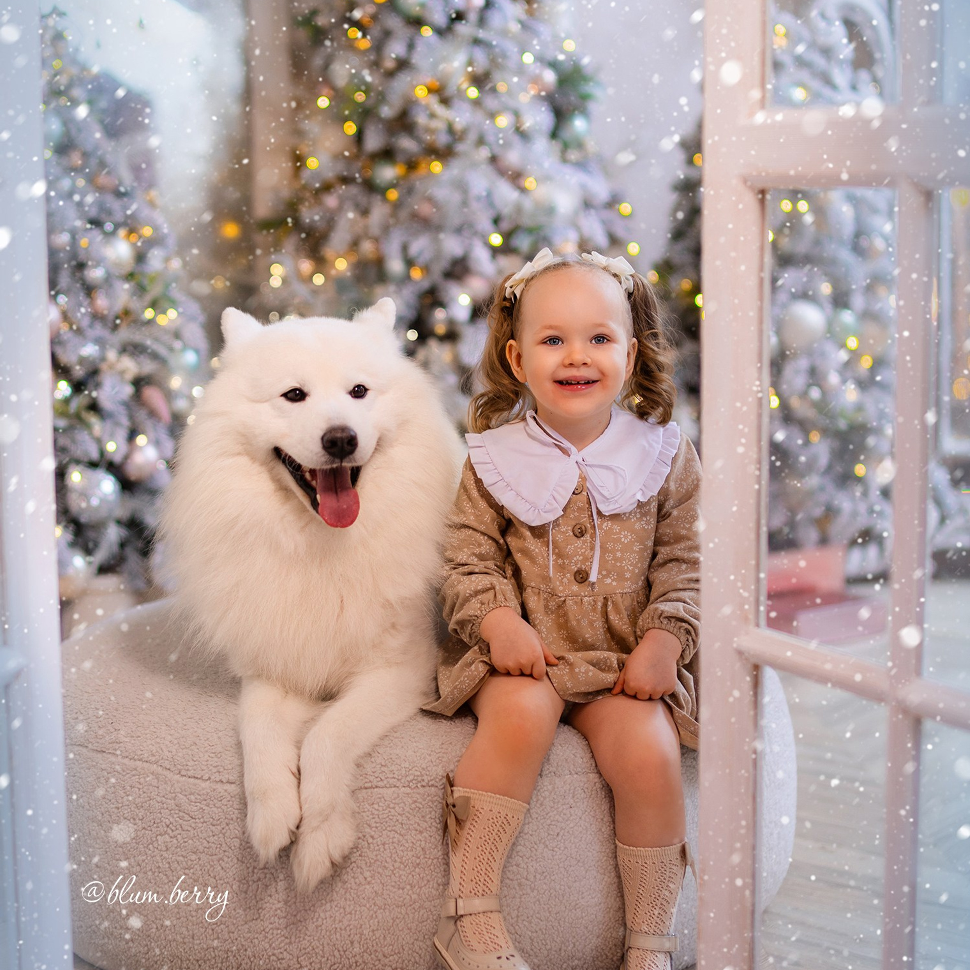 Новогодняя с самоедом и кроликом. Детский и семейный фотограф в Краснодаре Анастасия Blumberry