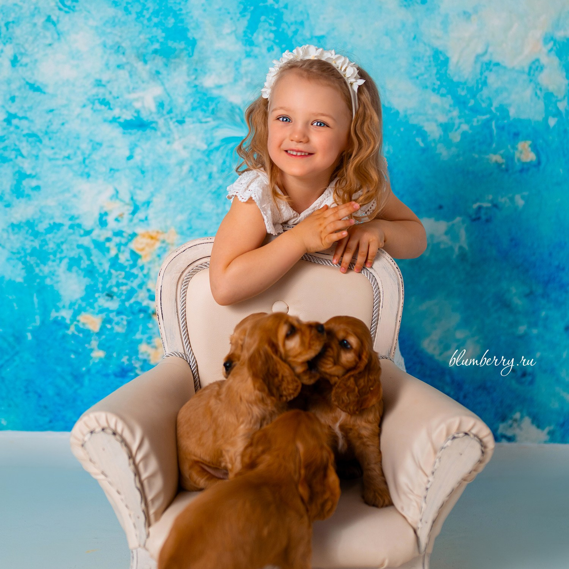 Щенки спаниеля. Детский и семейный фотограф в Краснодаре Анастасия Blumberry
