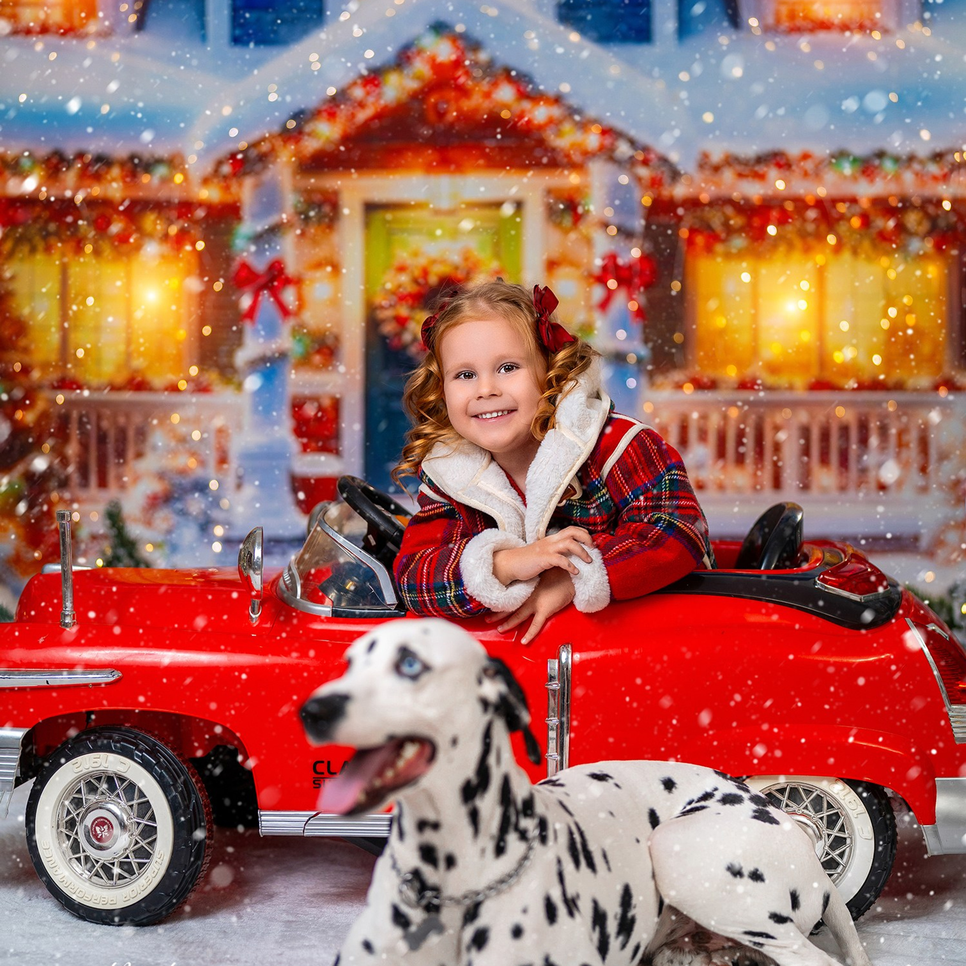 Далматин. Детский и семейный фотограф в Краснодаре Анастасия Blumberry