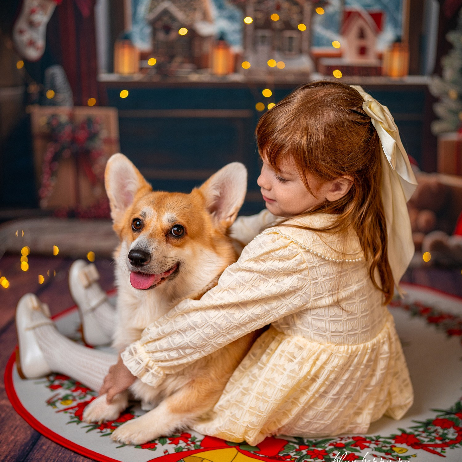 Новогодняя комната с корги. Детский и семейный фотограф в Краснодаре Анастасия Blumberry