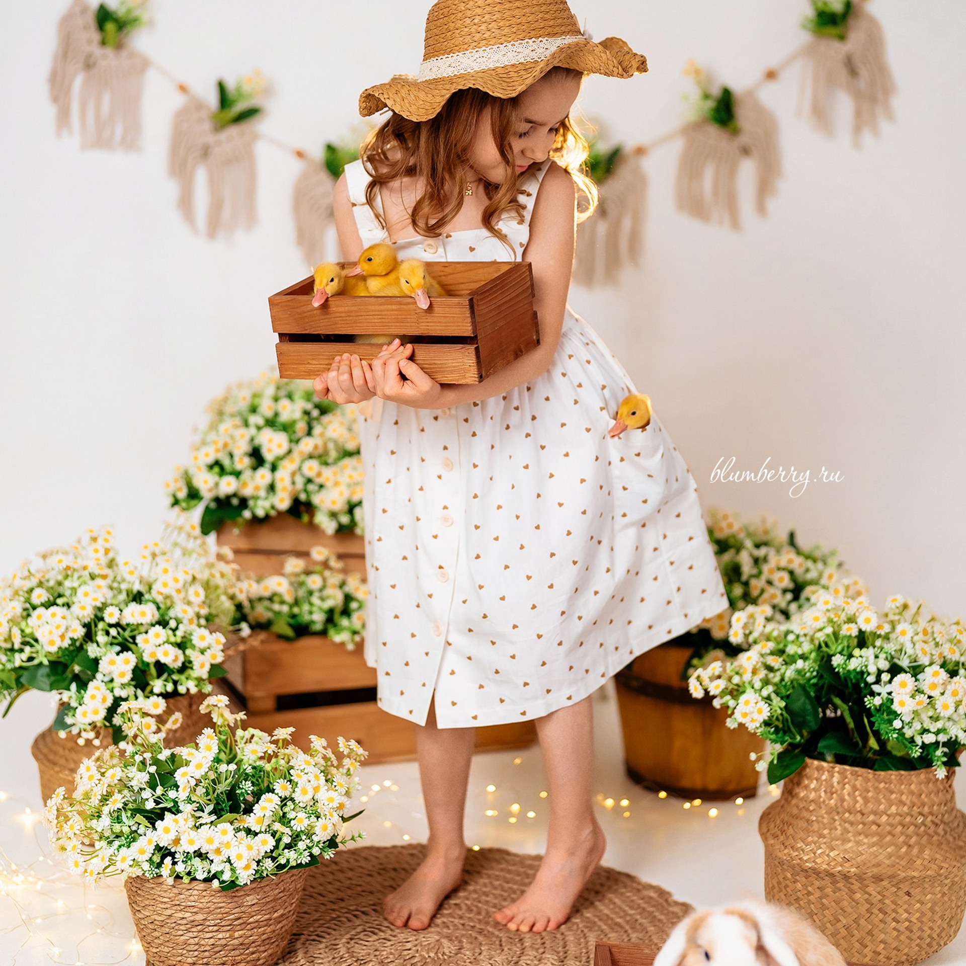 Ромашки с утятами. Детский и семейный фотограф в Краснодаре Анастасия Blumberry