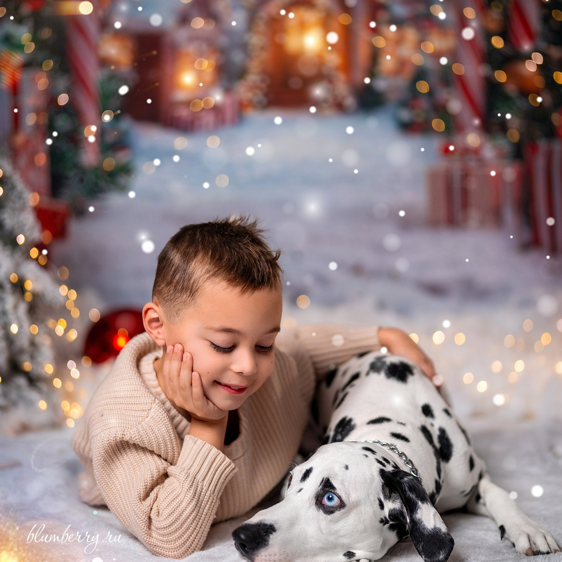 Далматин. Детский и семейный фотограф в Краснодаре Анастасия Blumberry