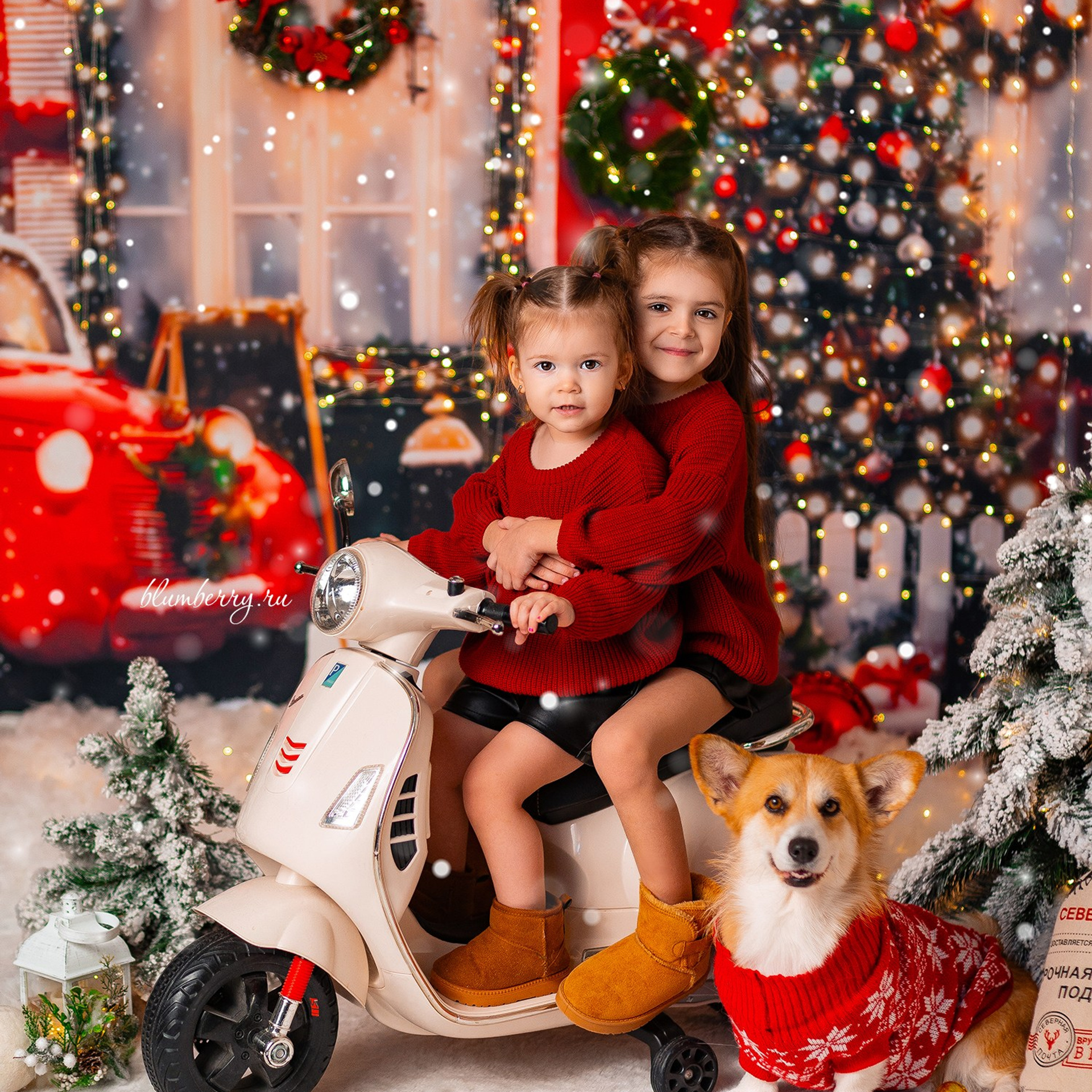 Новогодняя с корги. Детский и семейный фотограф в Краснодаре Анастасия Blumberry