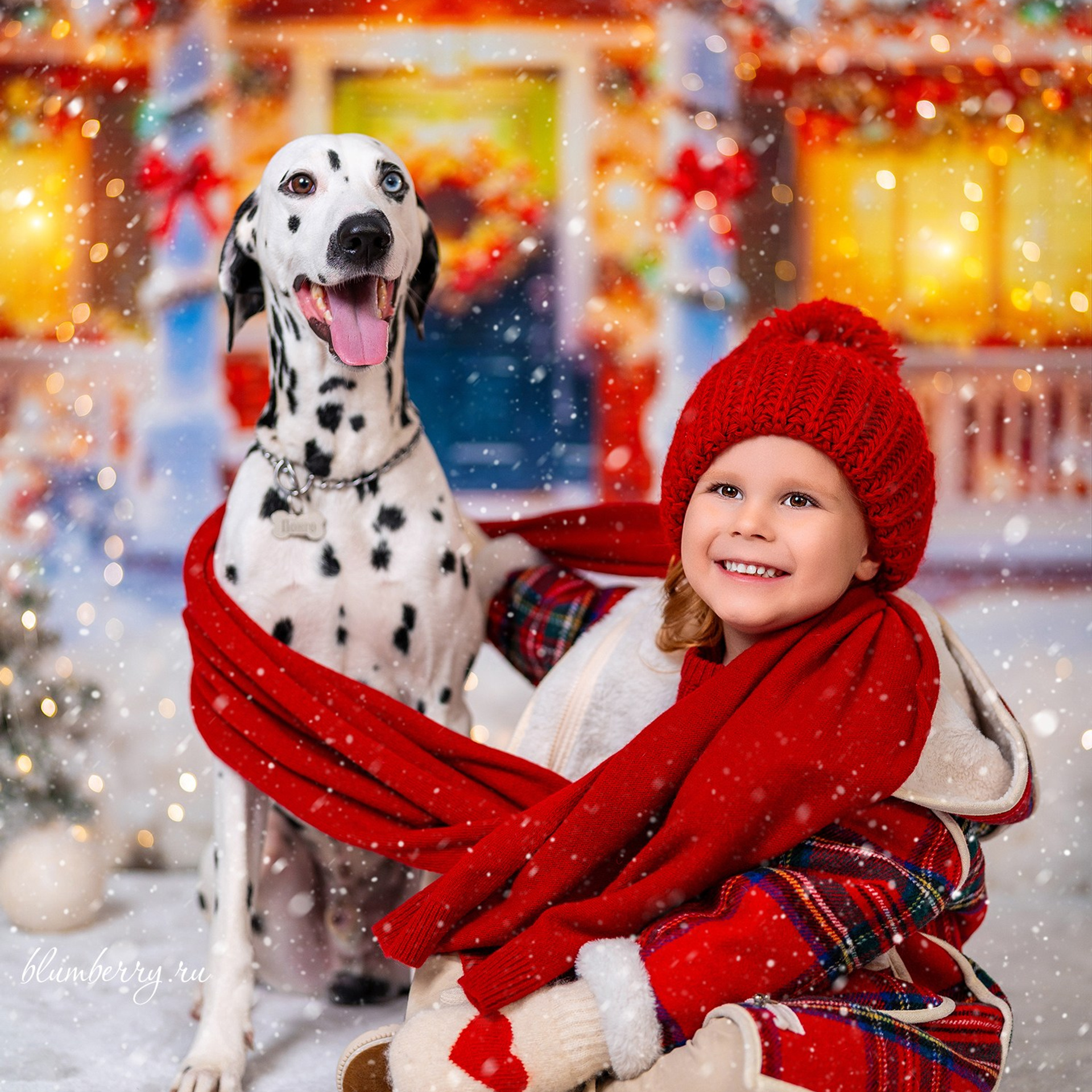 Далматин. Детский и семейный фотограф в Краснодаре Анастасия Blumberry