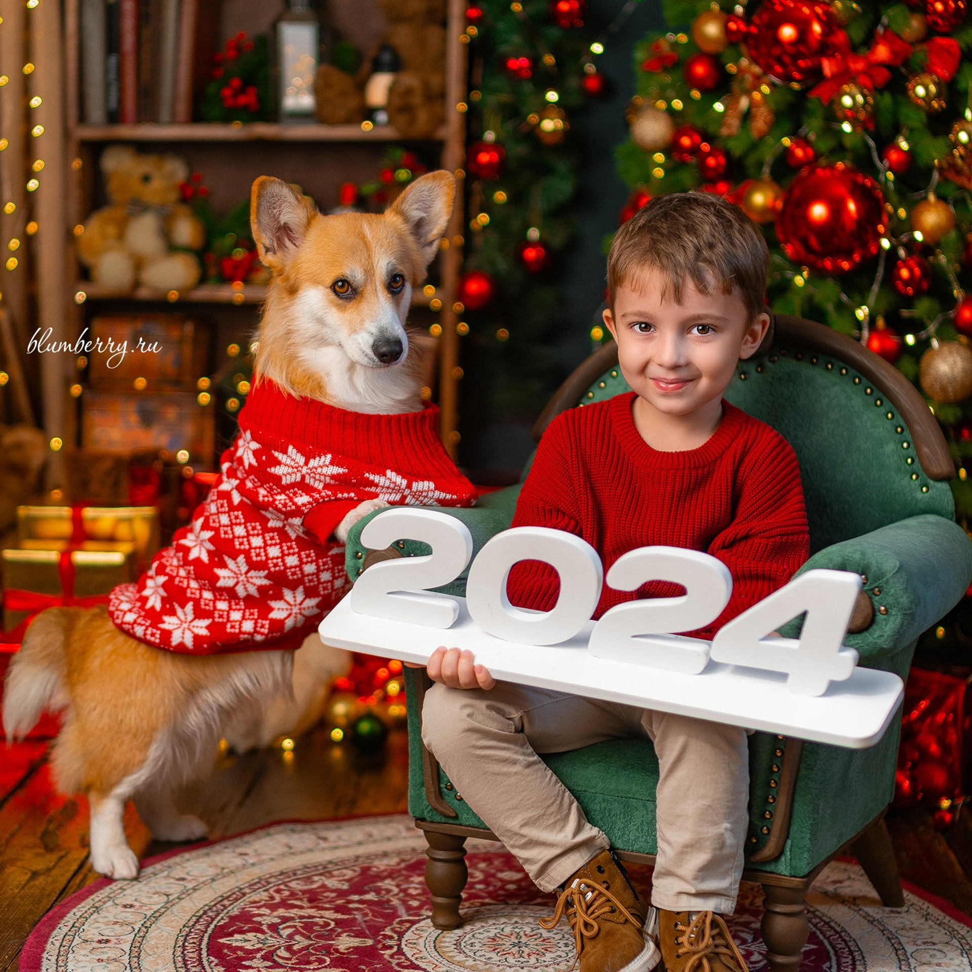 Новогодняя с корги. Детский и семейный фотограф в Краснодаре Анастасия Blumberry