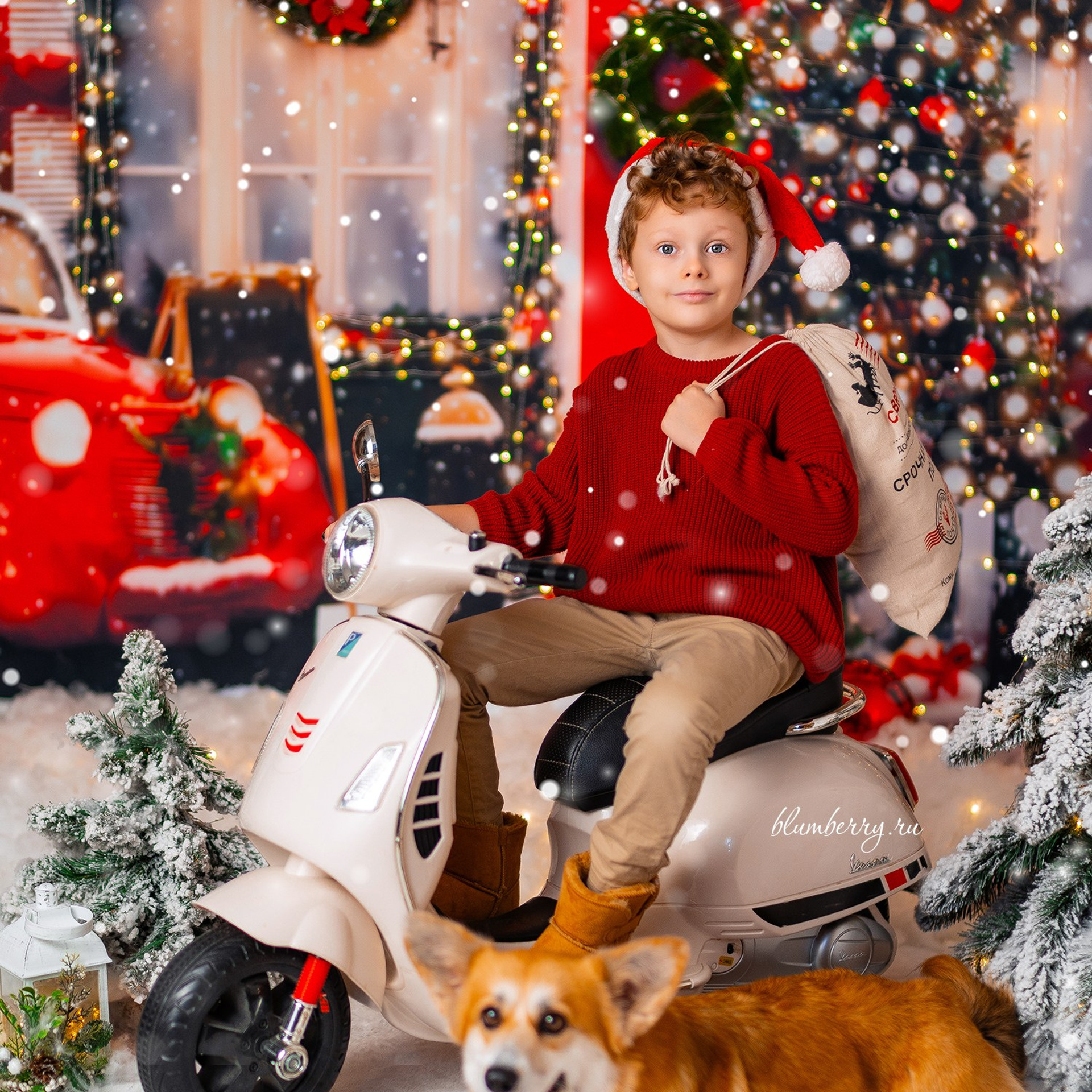 Новогодняя с корги. Детский и семейный фотограф в Краснодаре Анастасия Blumberry