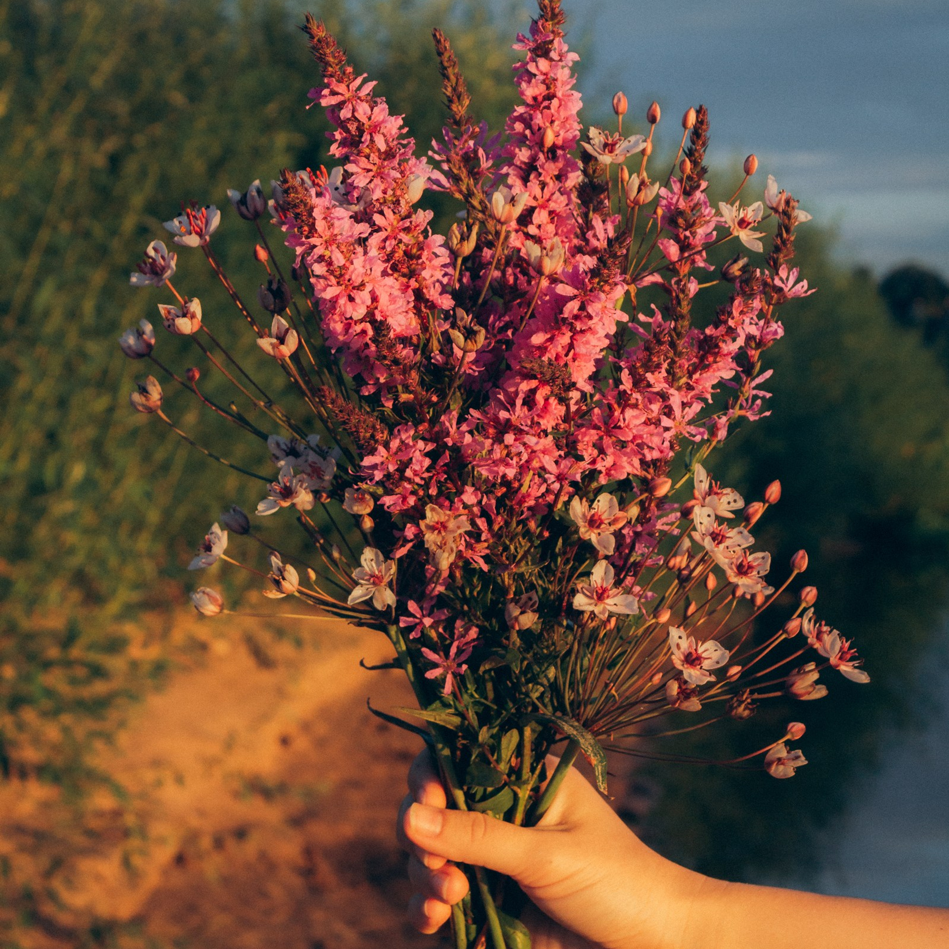 Летние истории