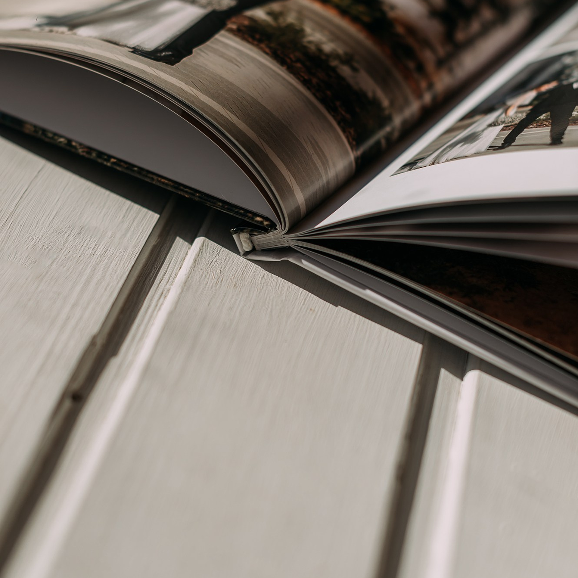 Тонкие страницы. Свадебный фотограф Алёна Замотаева