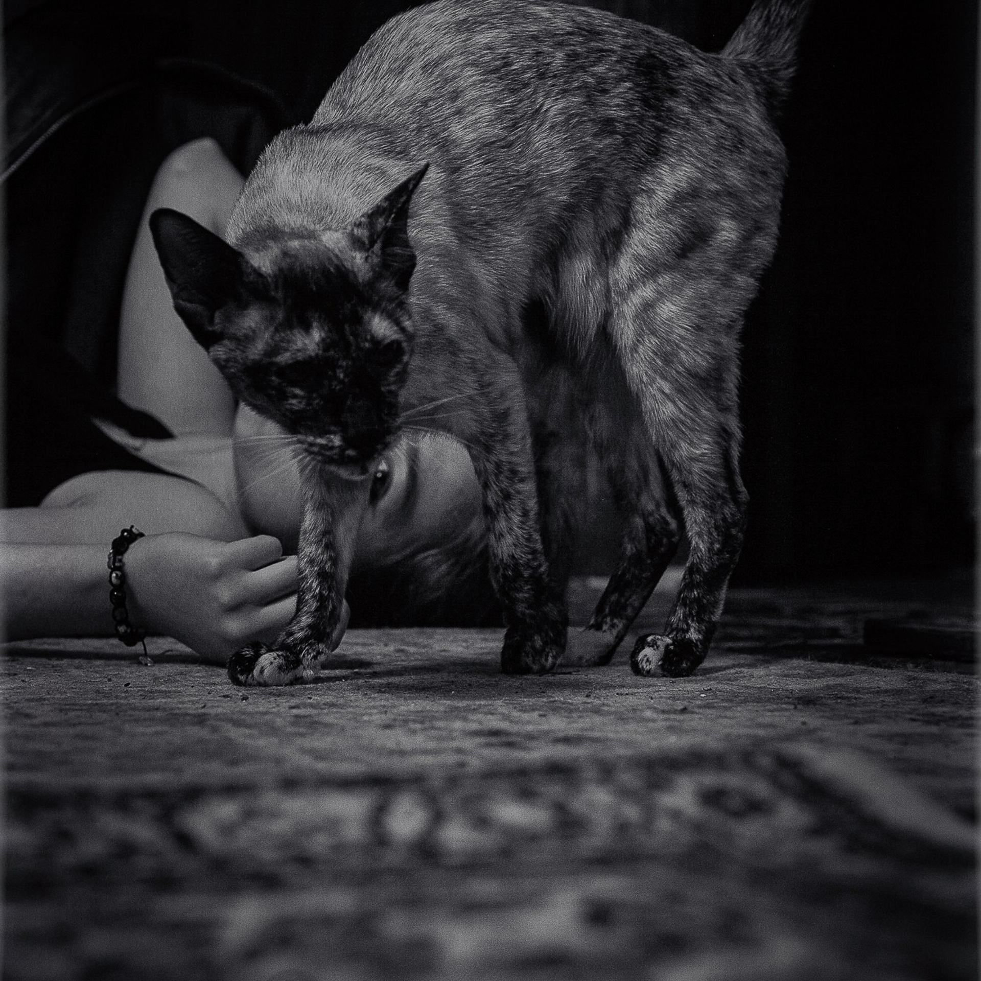 Элина. Домашняя студия.