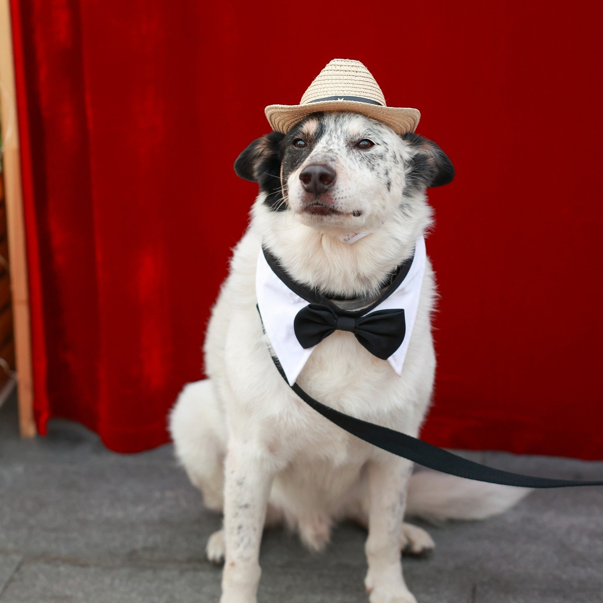 7–8 сентября 2024 / Три Вокзала. Депо