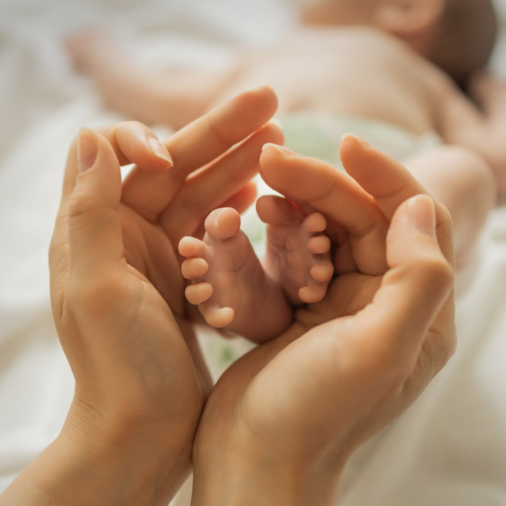 Отзывы. Виноградова Маргарита. Фотограф P r o Явления