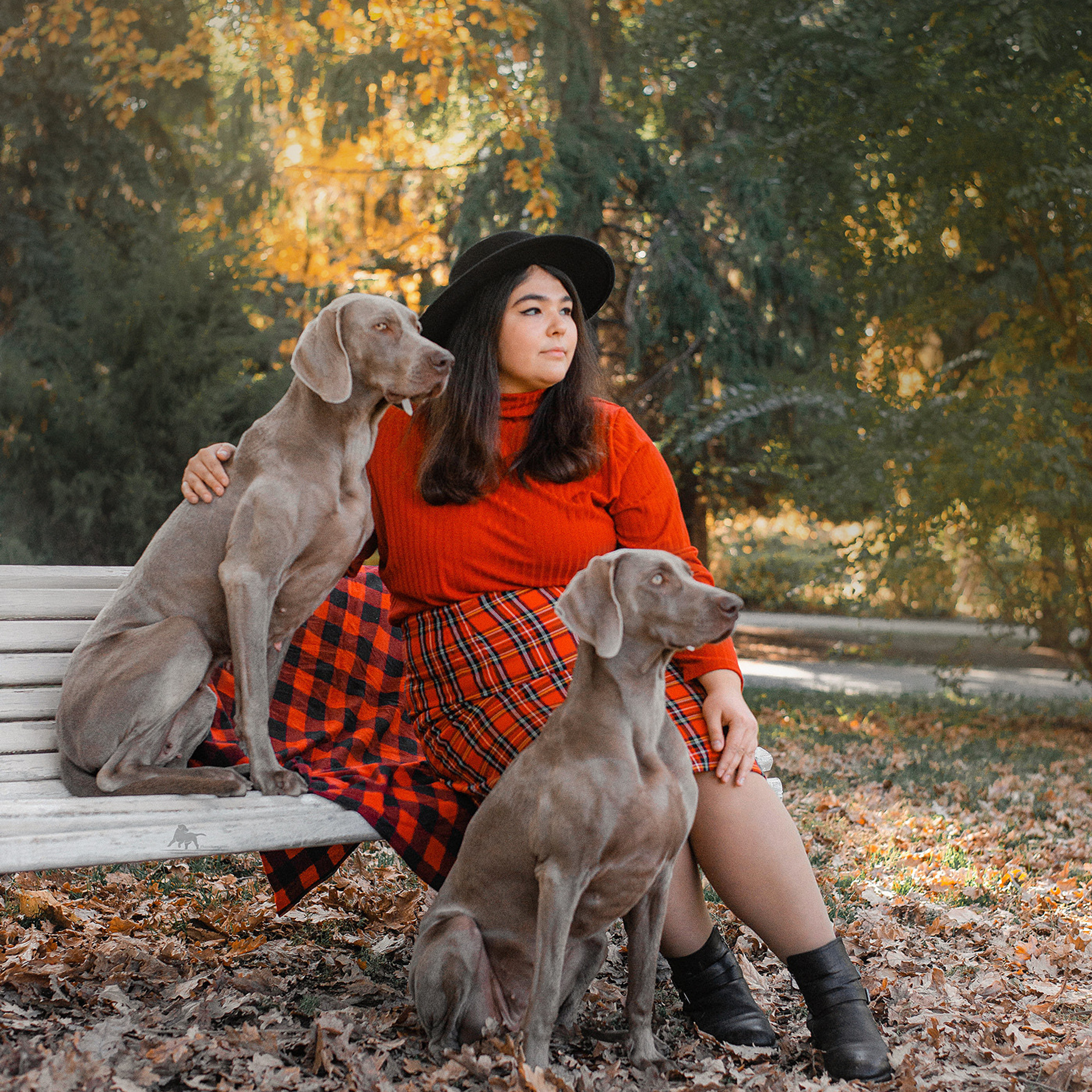 Отзывы. Фотограф — анималист Саратов/Москва|Плужникова Юлия