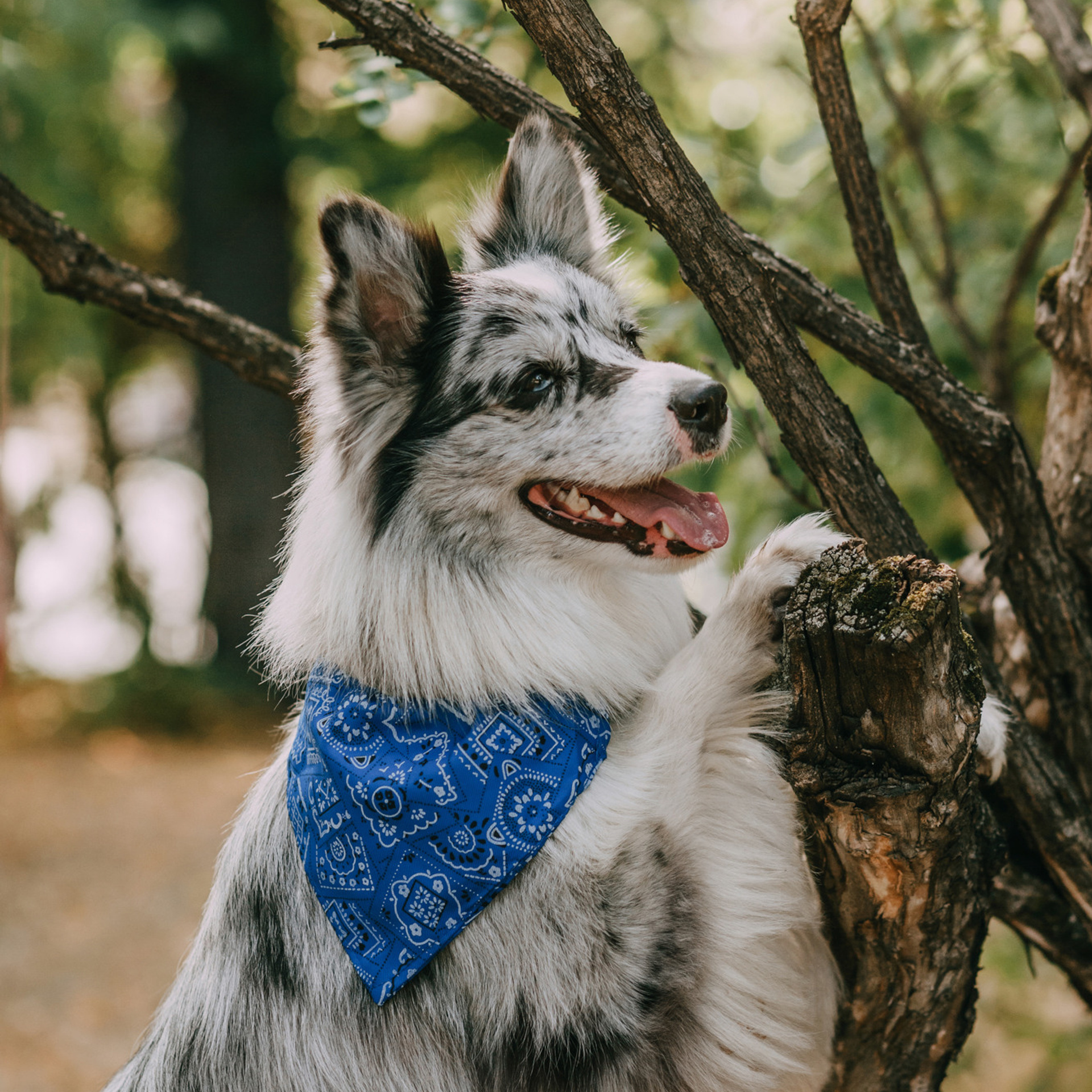 Магазин Каскад