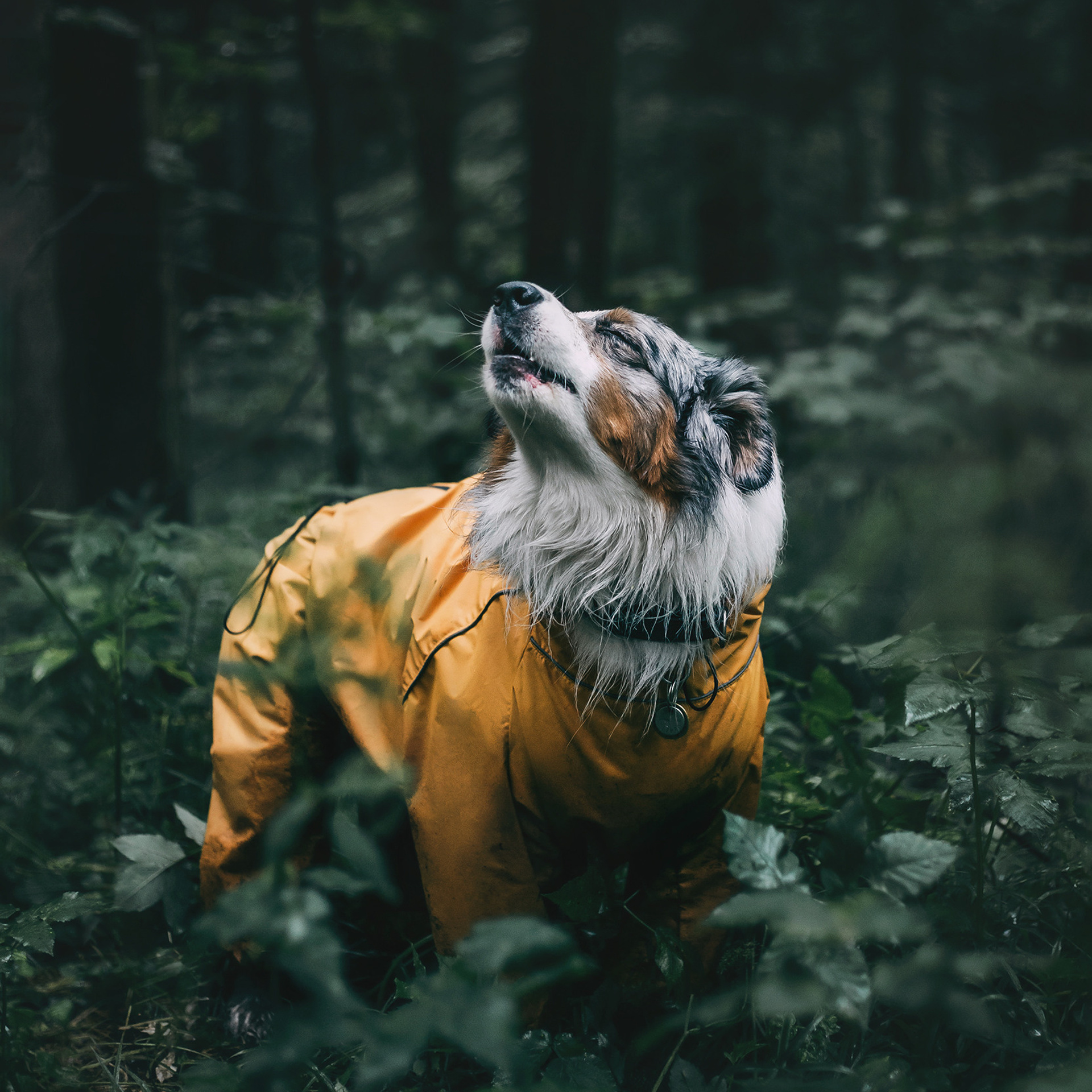 Мастерская Velva wears