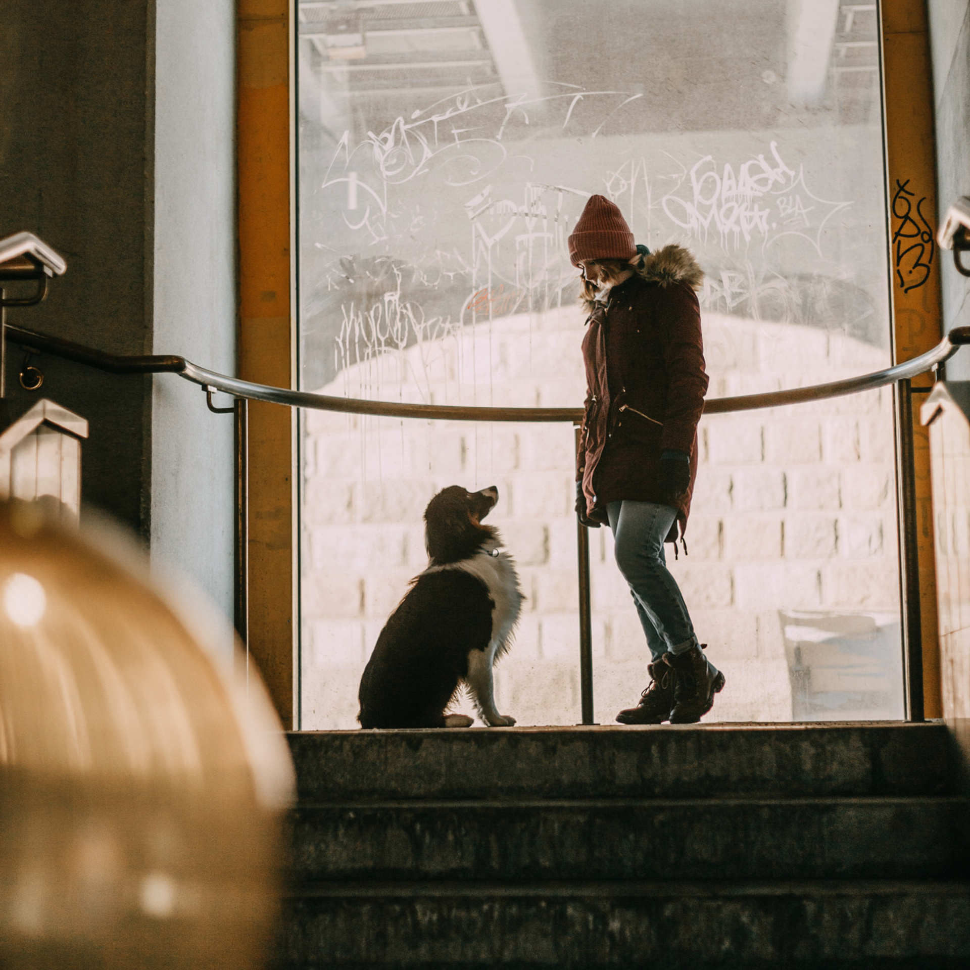 Анна и Чарли