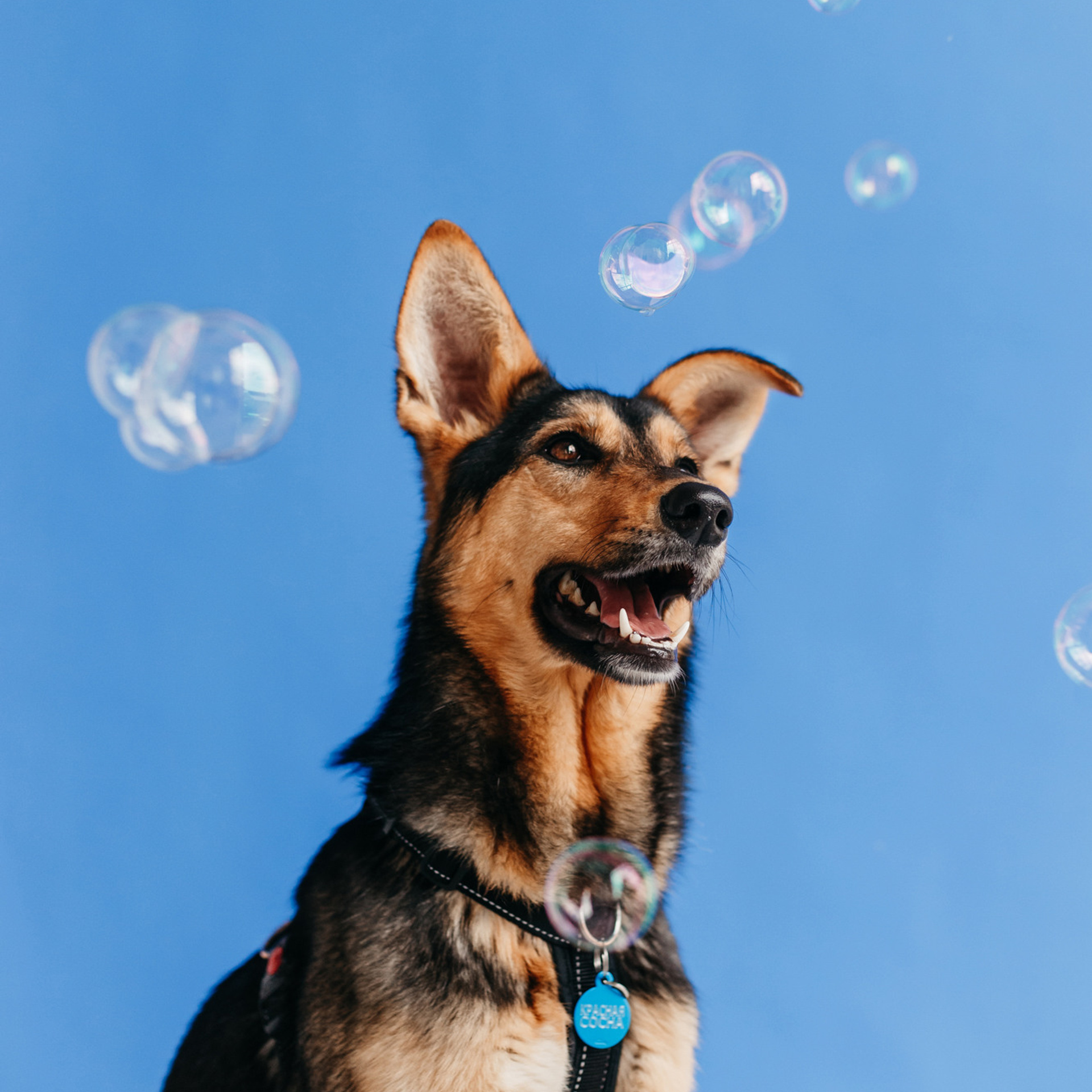 Фотодень 9 апреля