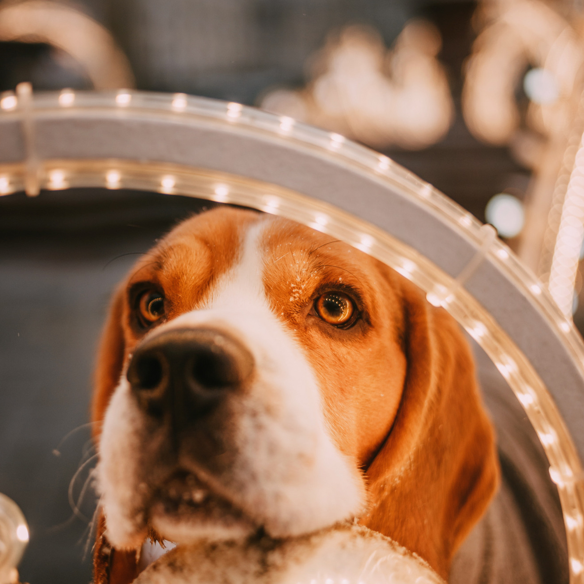 Марина и Дэй