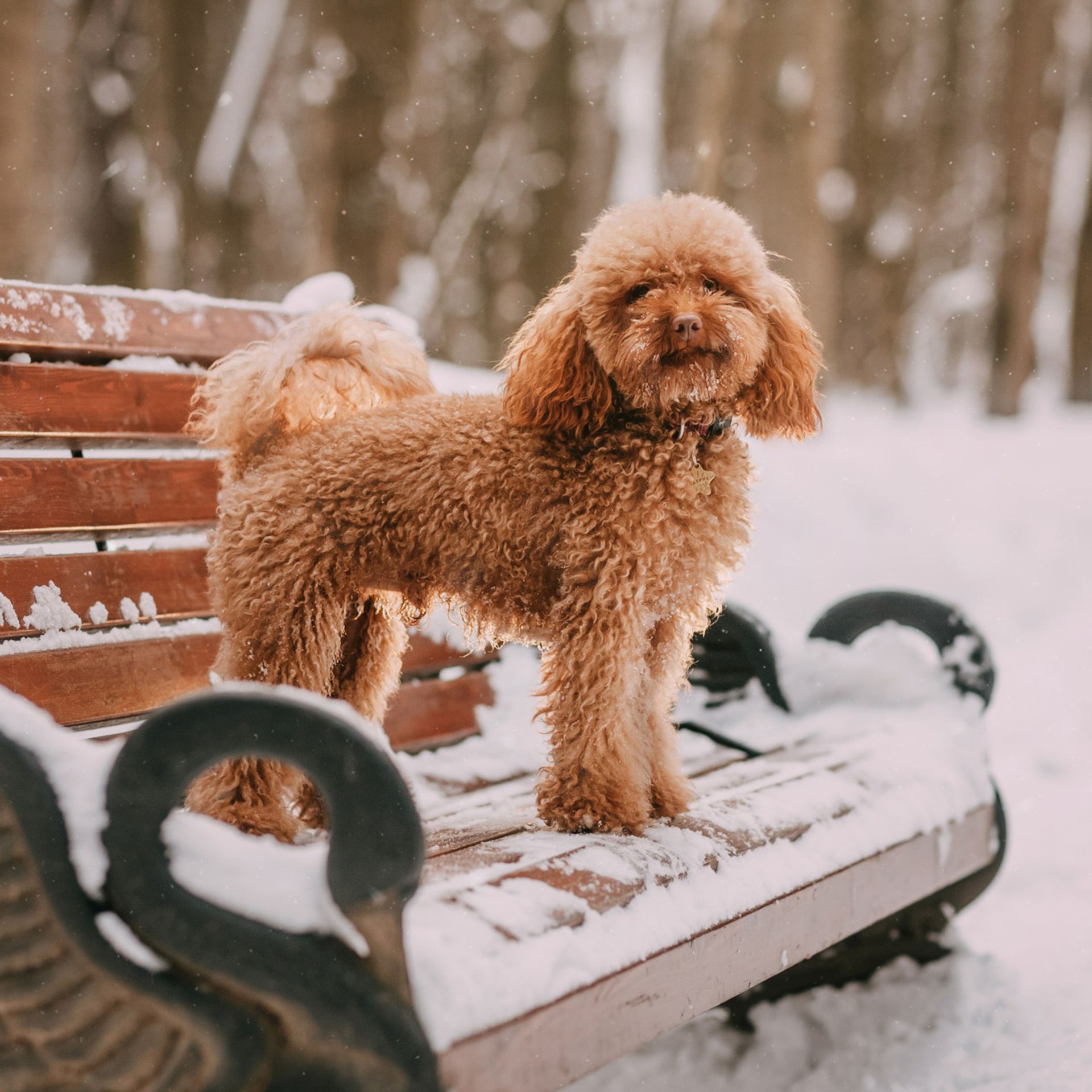 Лариса и Патрик