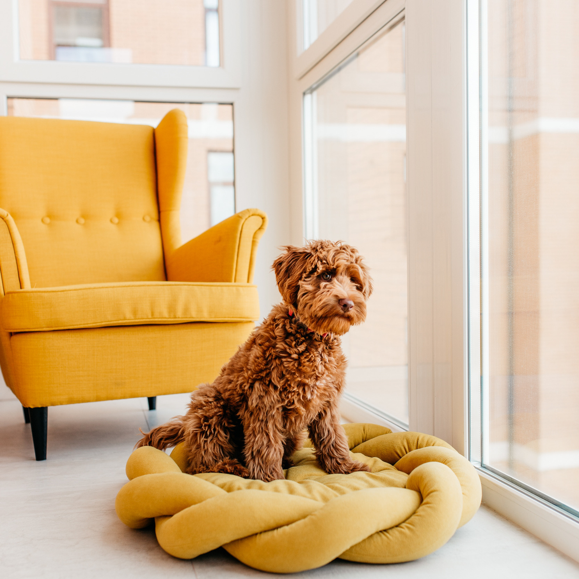 Магазин Bumbaboo