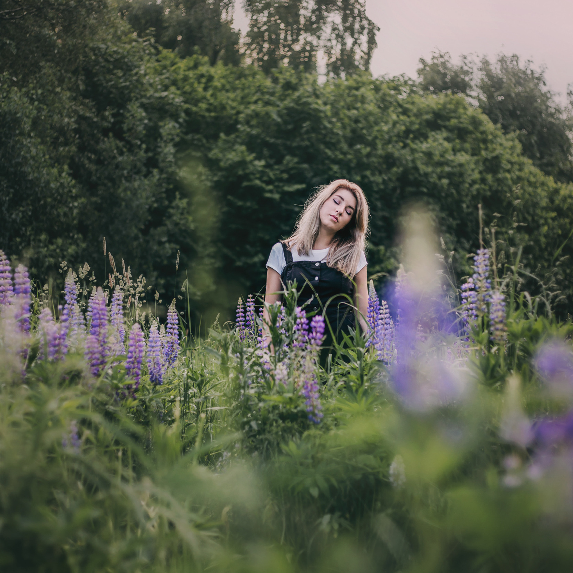 Нина в люпинах