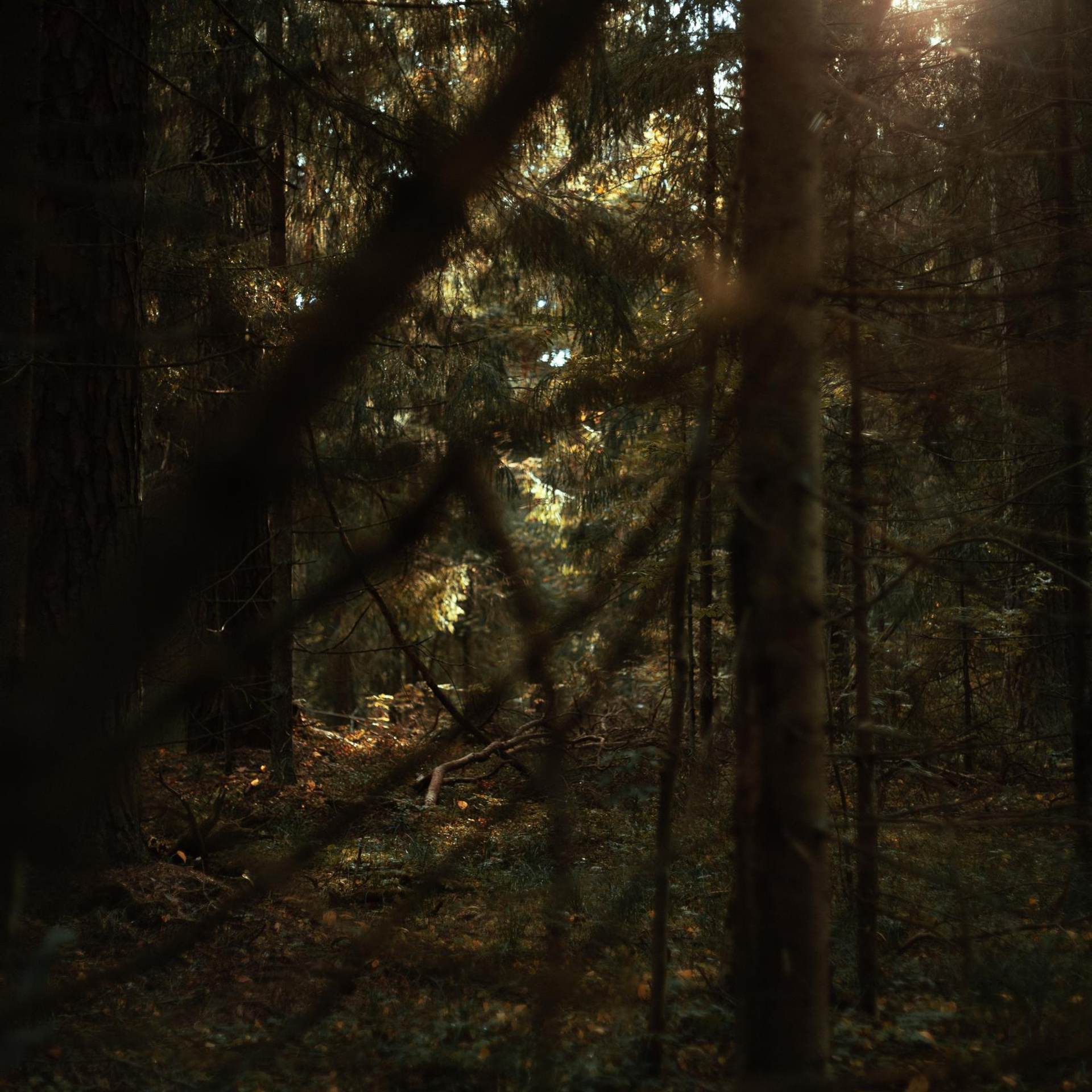 Отзывы. Фотограф Вышний Волочек/Тверь/Москва/Санкт-Петербург