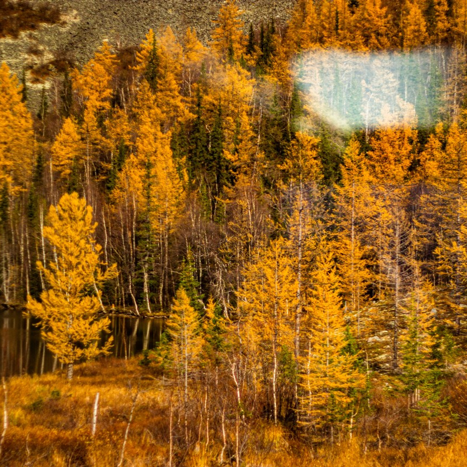 Станция Собь