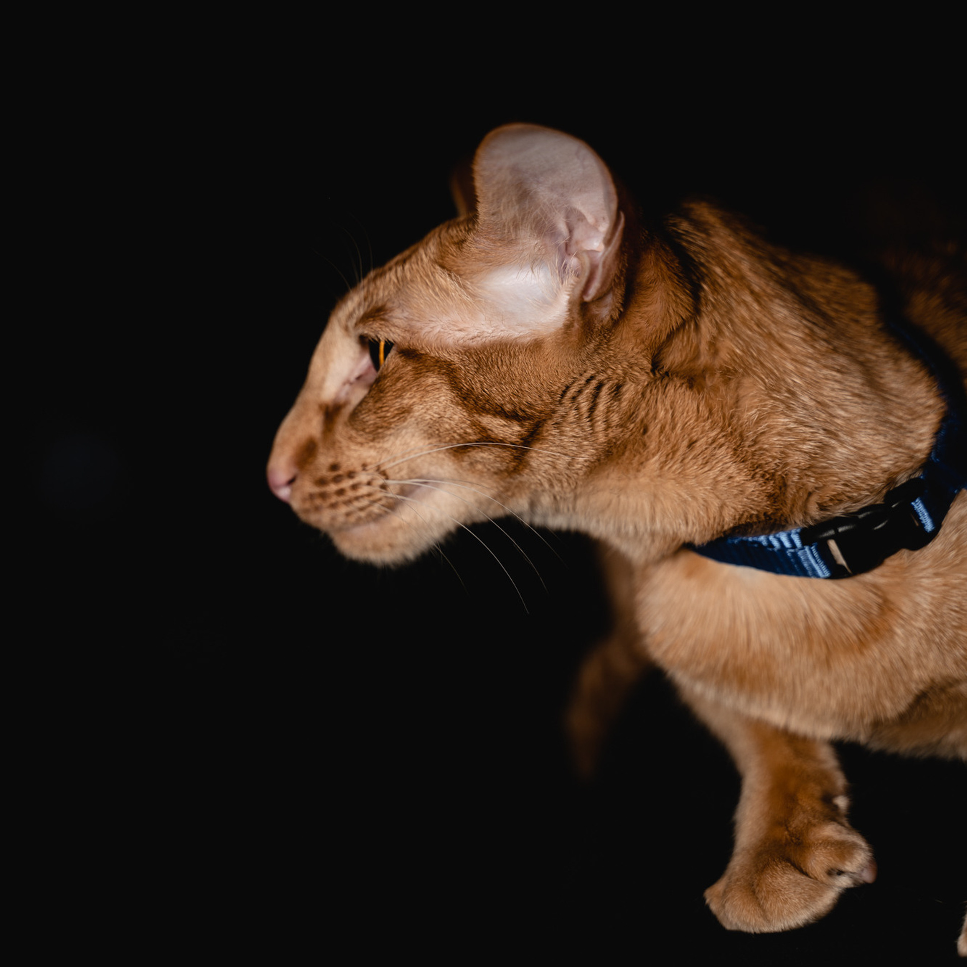 Отзывы о моих работах. Марина Маслак портретный, репортажный и семейный фотограф в Москве