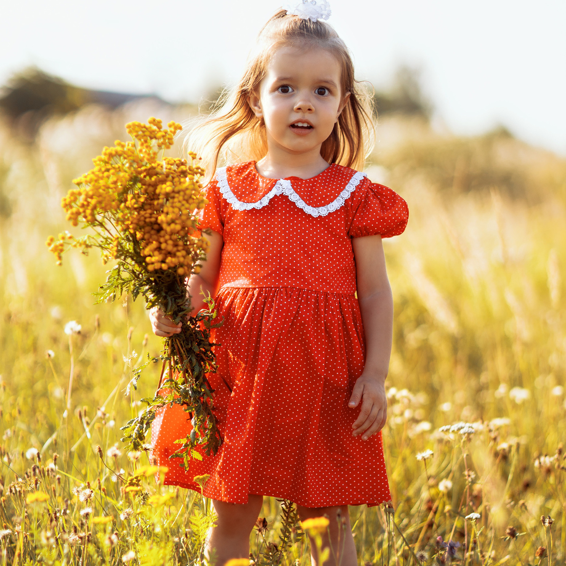 Отзывы. Свадебный, семейный, детский фотограф г. Иваново Татьяна Муратова