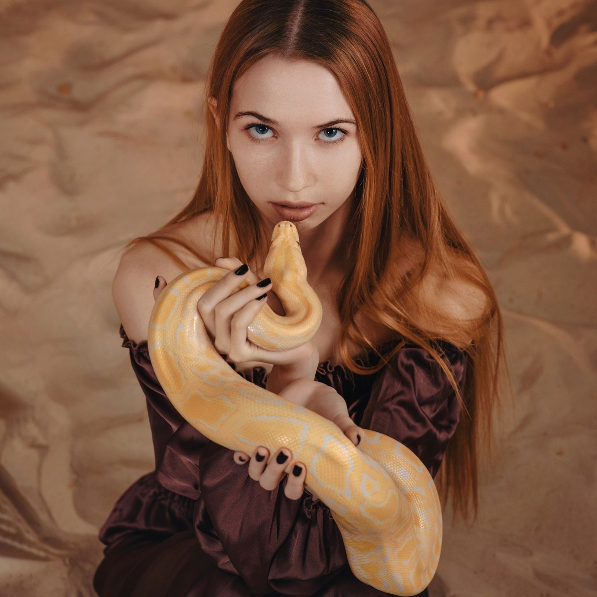 Змеи/питон/удав