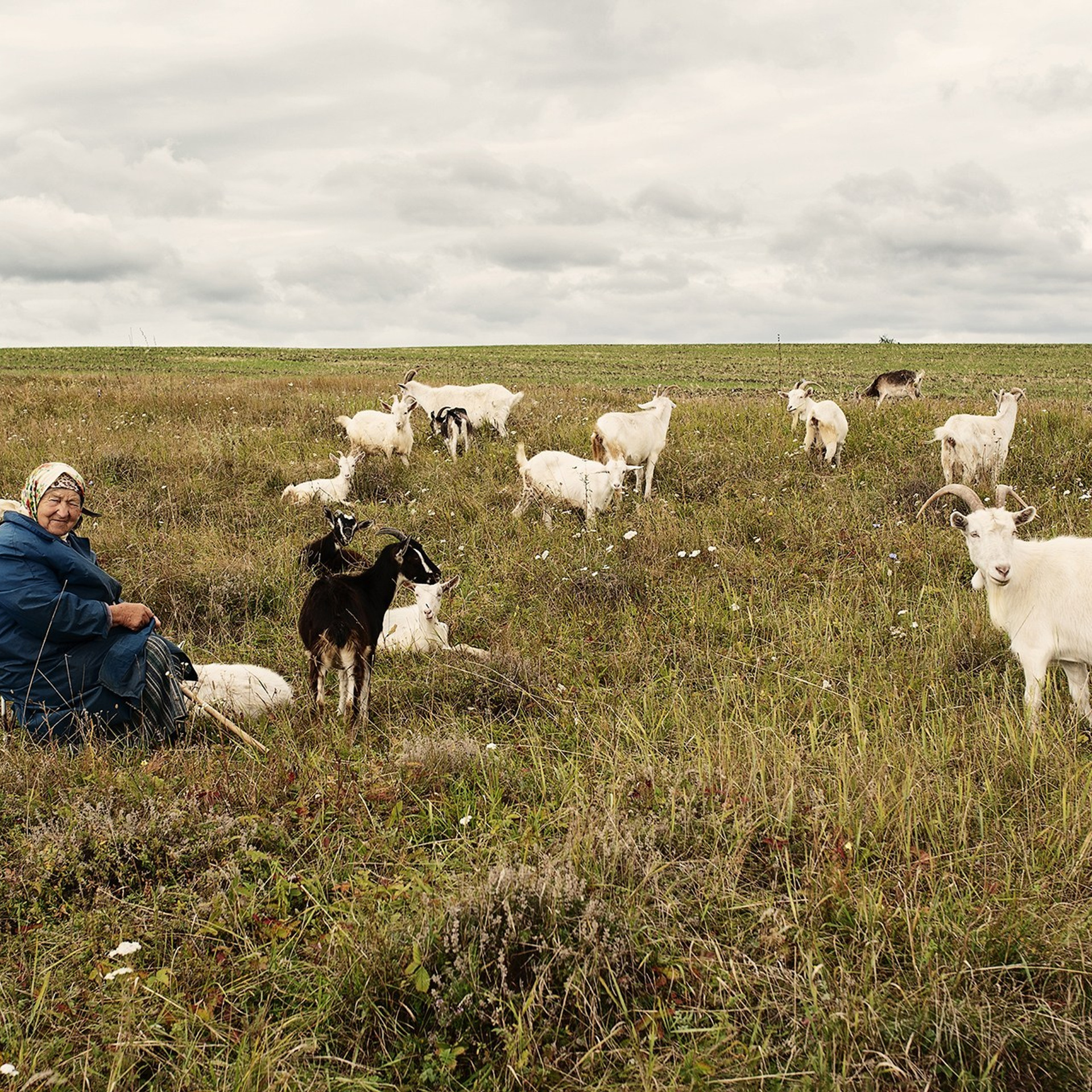 Деревня / Village. Профессиональный портретный фотограф в Орле Шестопалова Юлия