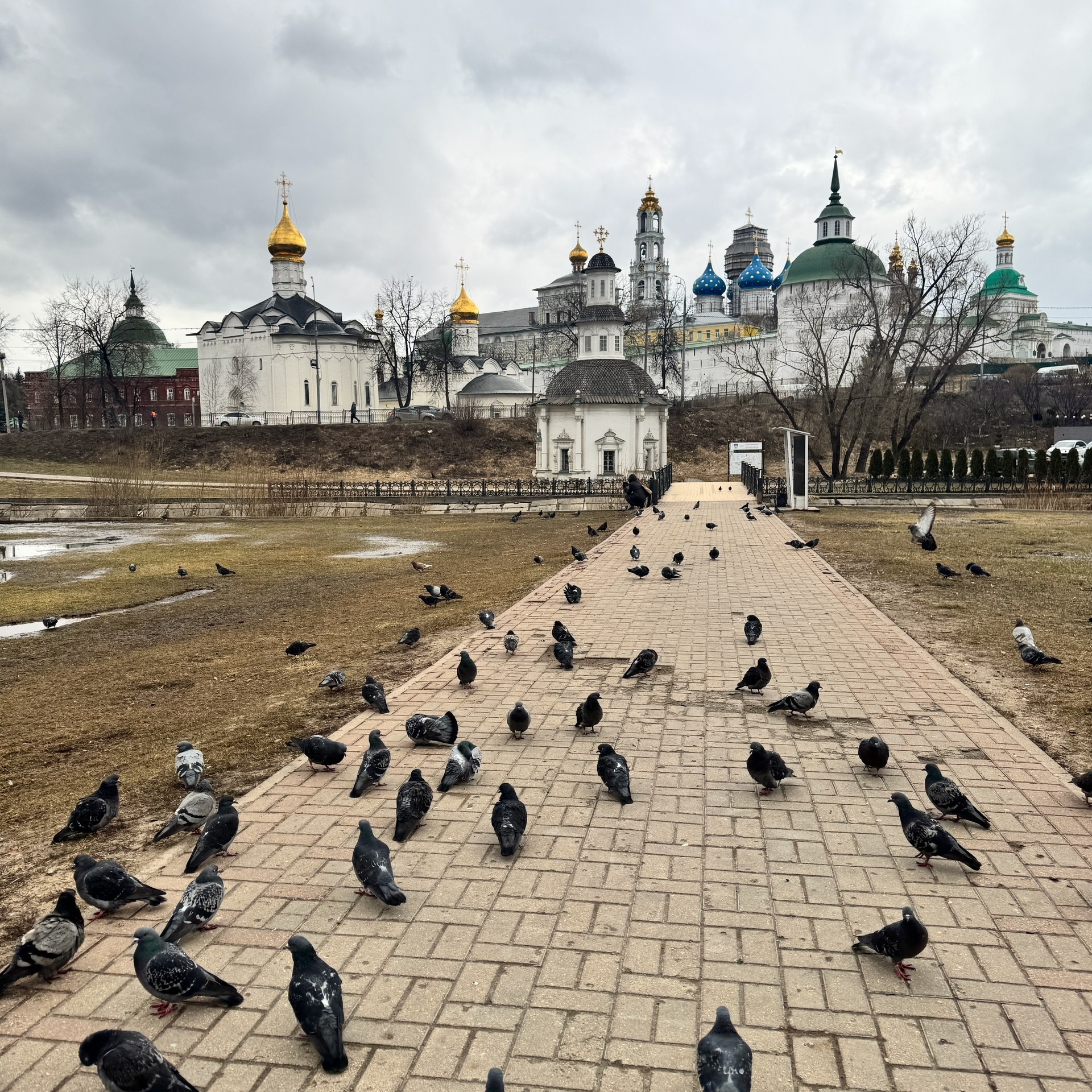 Города / Cities. Профессиональный портретный фотограф в Орле Шестопалова Юлия