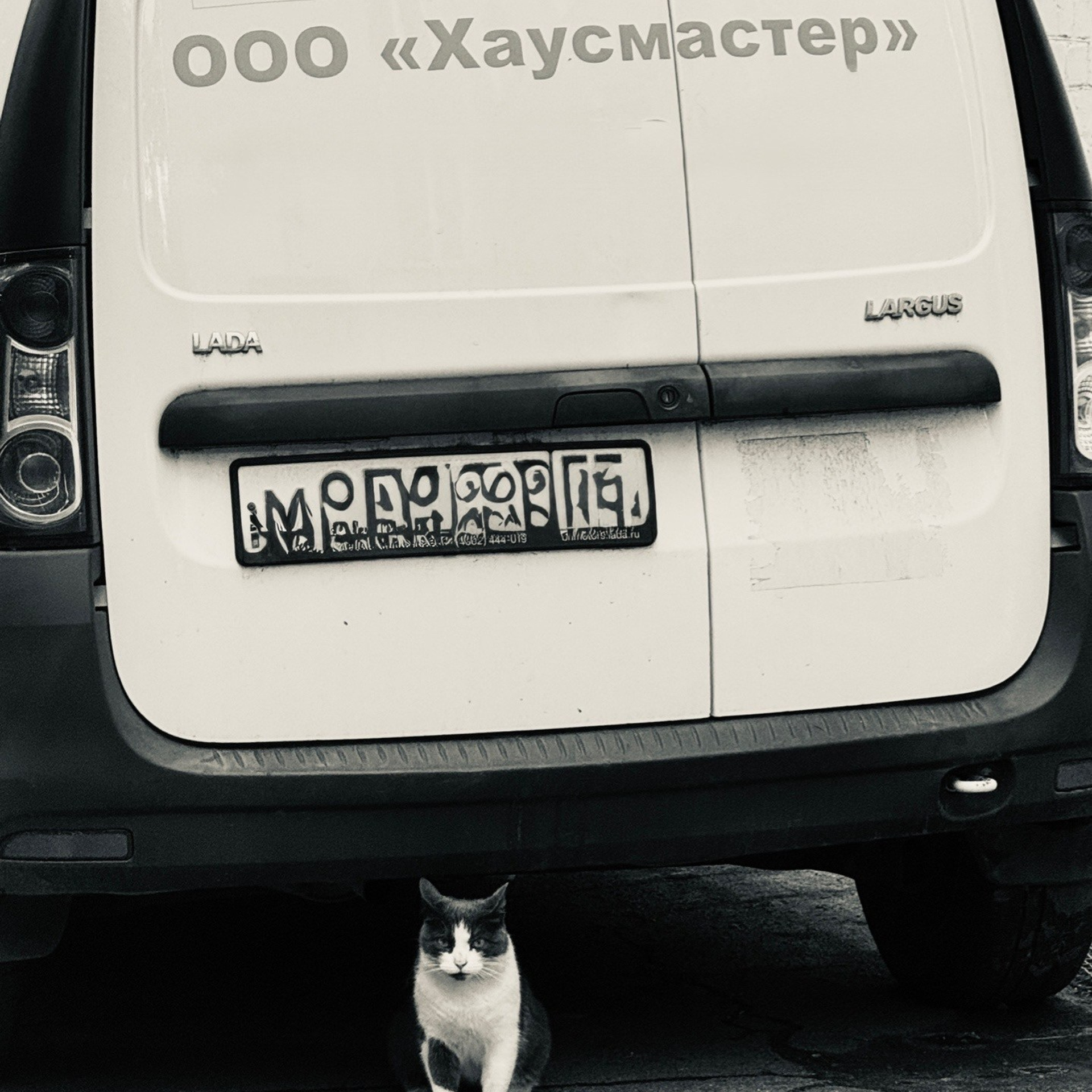 Животные / Animals. Профессиональный портретный фотограф в Орле Шестопалова Юлия