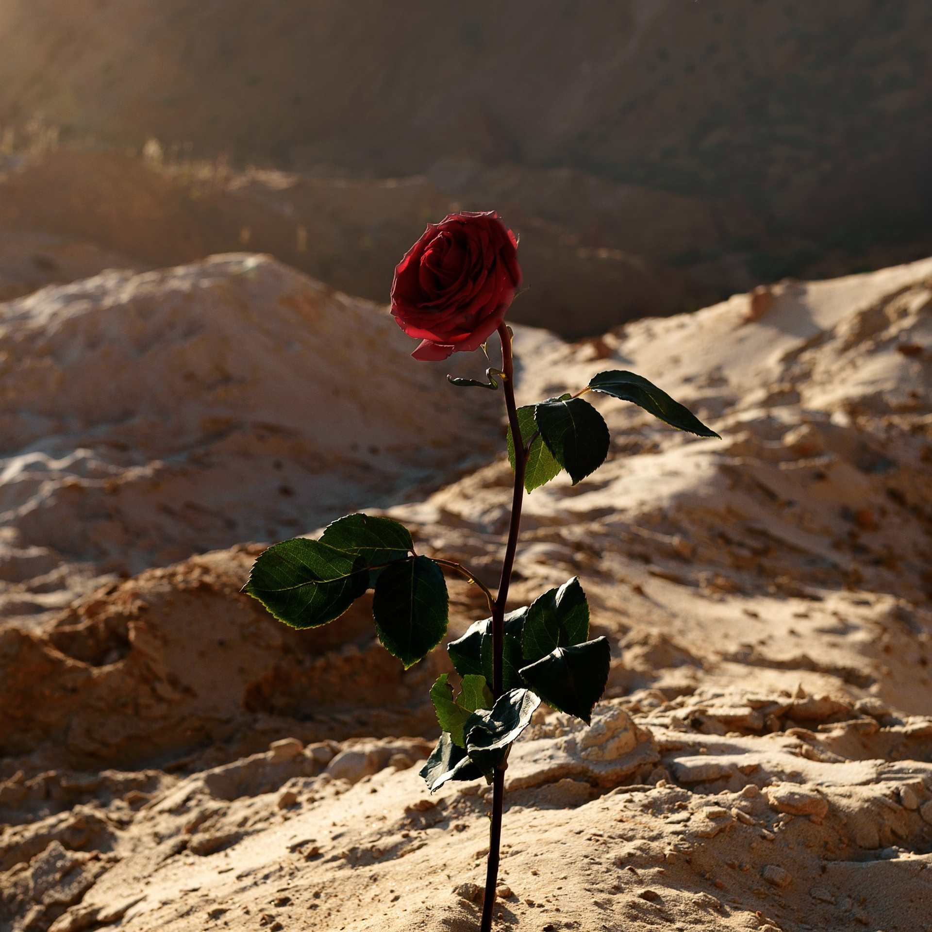 Выставка в библиотеке им. М. М. Пришвина, г. Орел, 2019. Фотографы в Орле Шестопаловы Юлия и Юрий