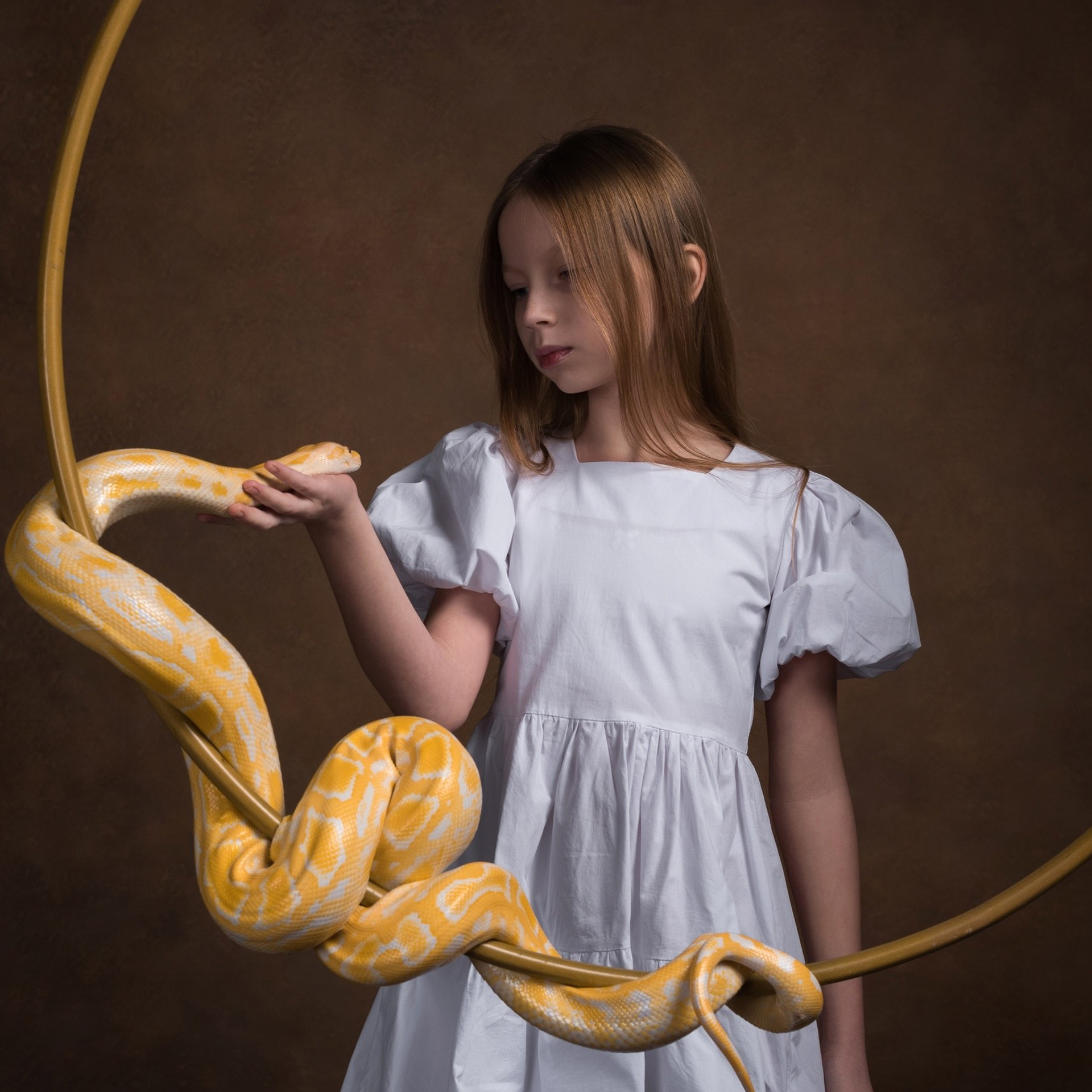 Змеи/питон/удав