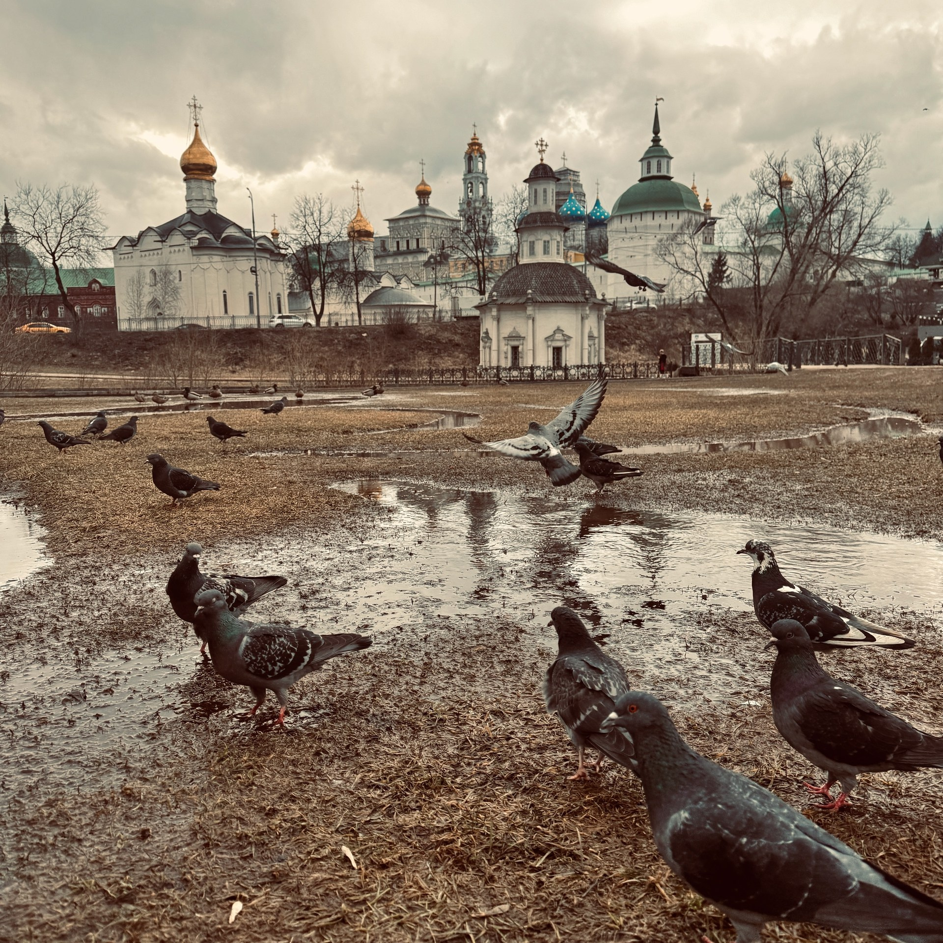 Города / Cities. Профессиональный портретный фотограф в Орле Шестопалова Юлия