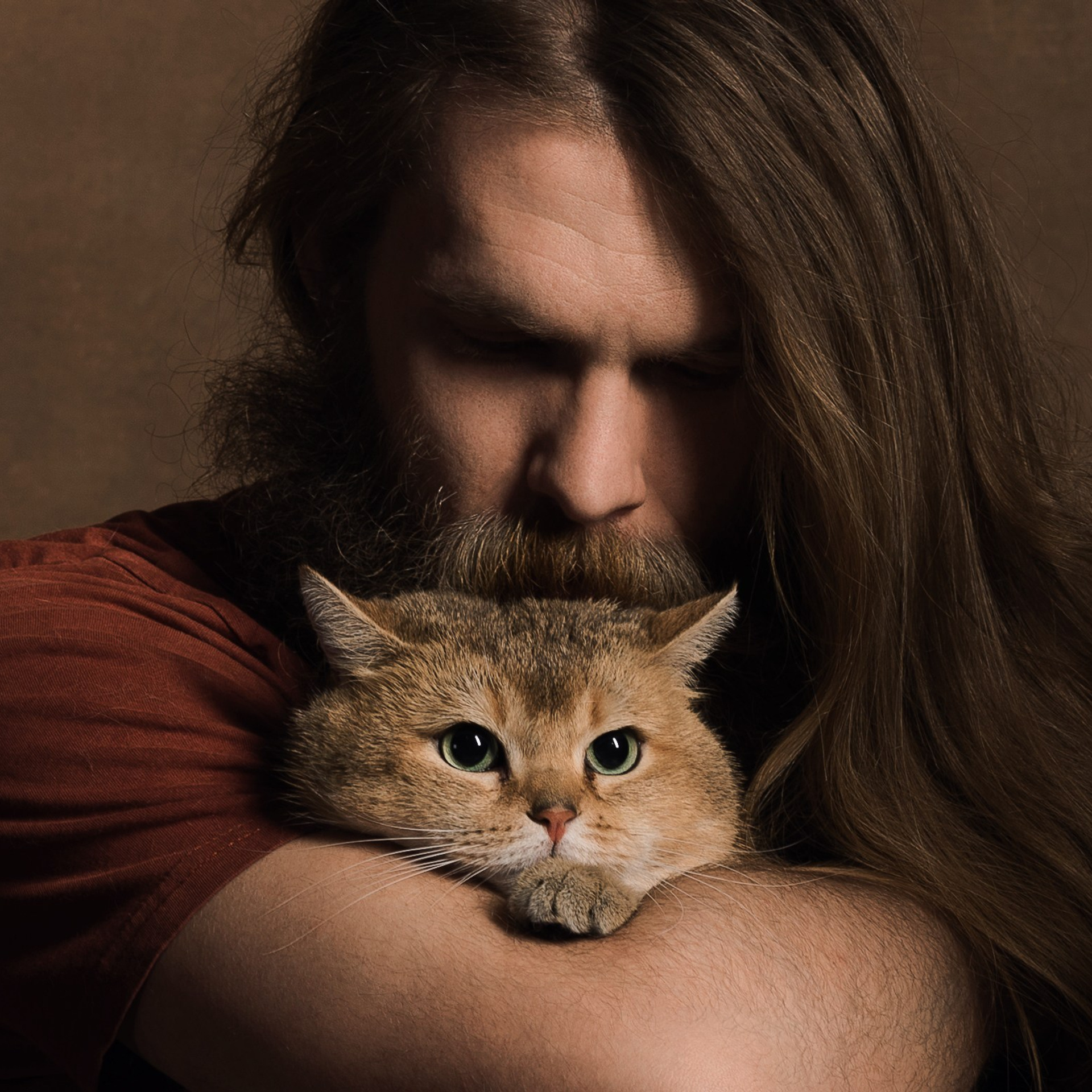 Кошки. Фотографы в Орле Шестопаловы Юлия и Юрий