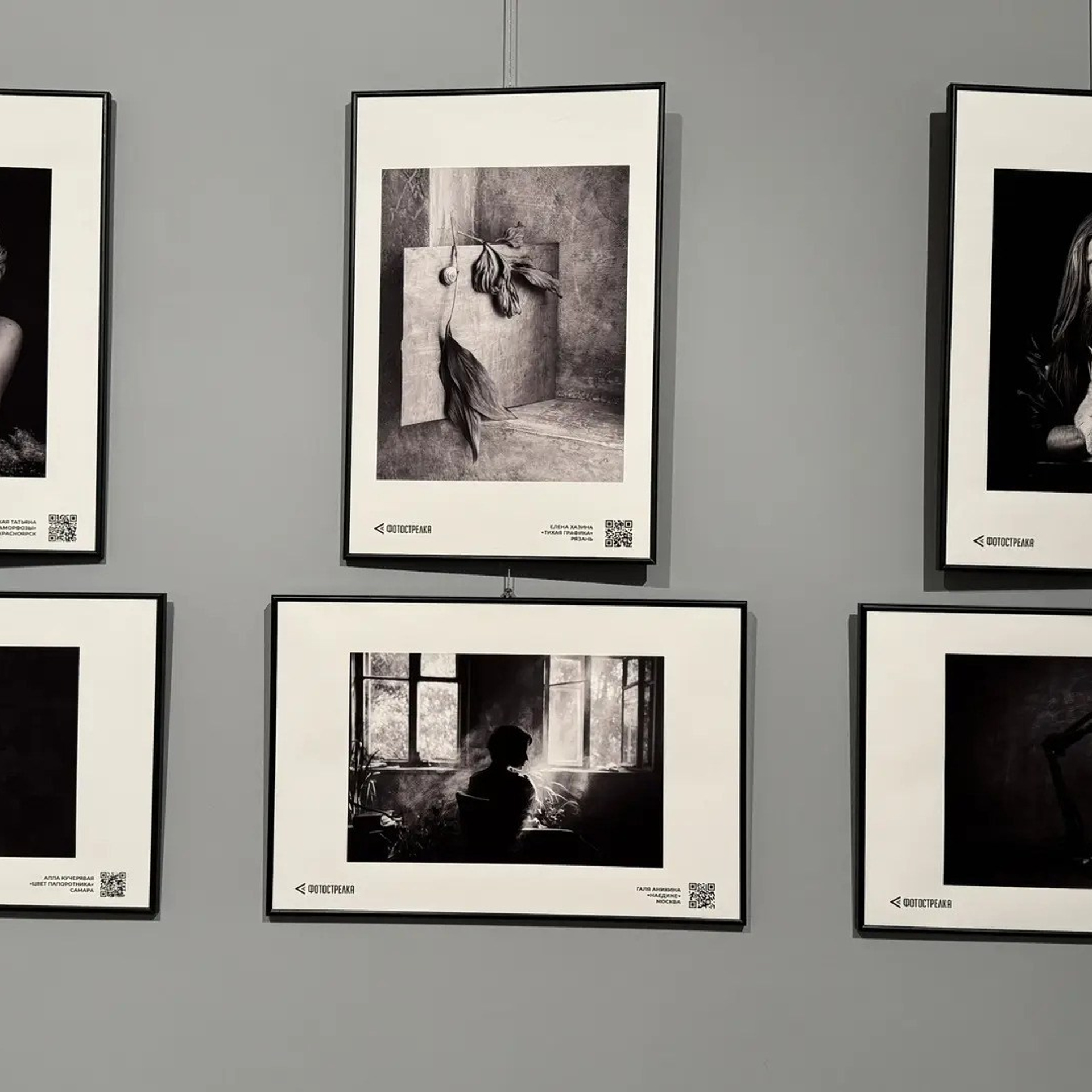 Выставка в Калужском музее изобразительных искусств, январь — февраль 2026