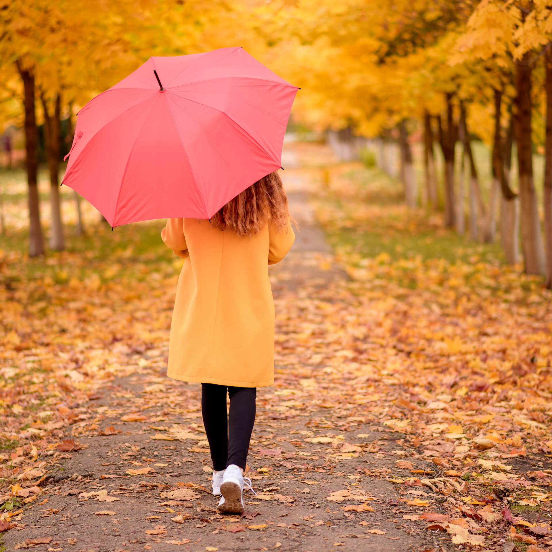 Катя -осенняя фотосессия. Фотографы в Орле Шестопаловы Юлия и Юрий