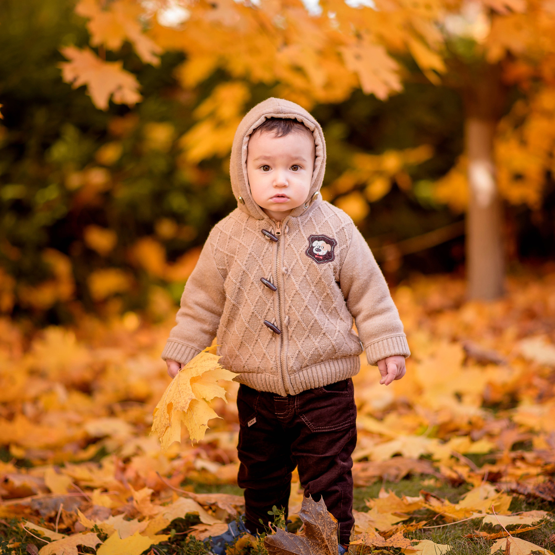 Катя -осенняя фотосессия. Фотографы в Орле Шестопаловы Юлия и Юрий